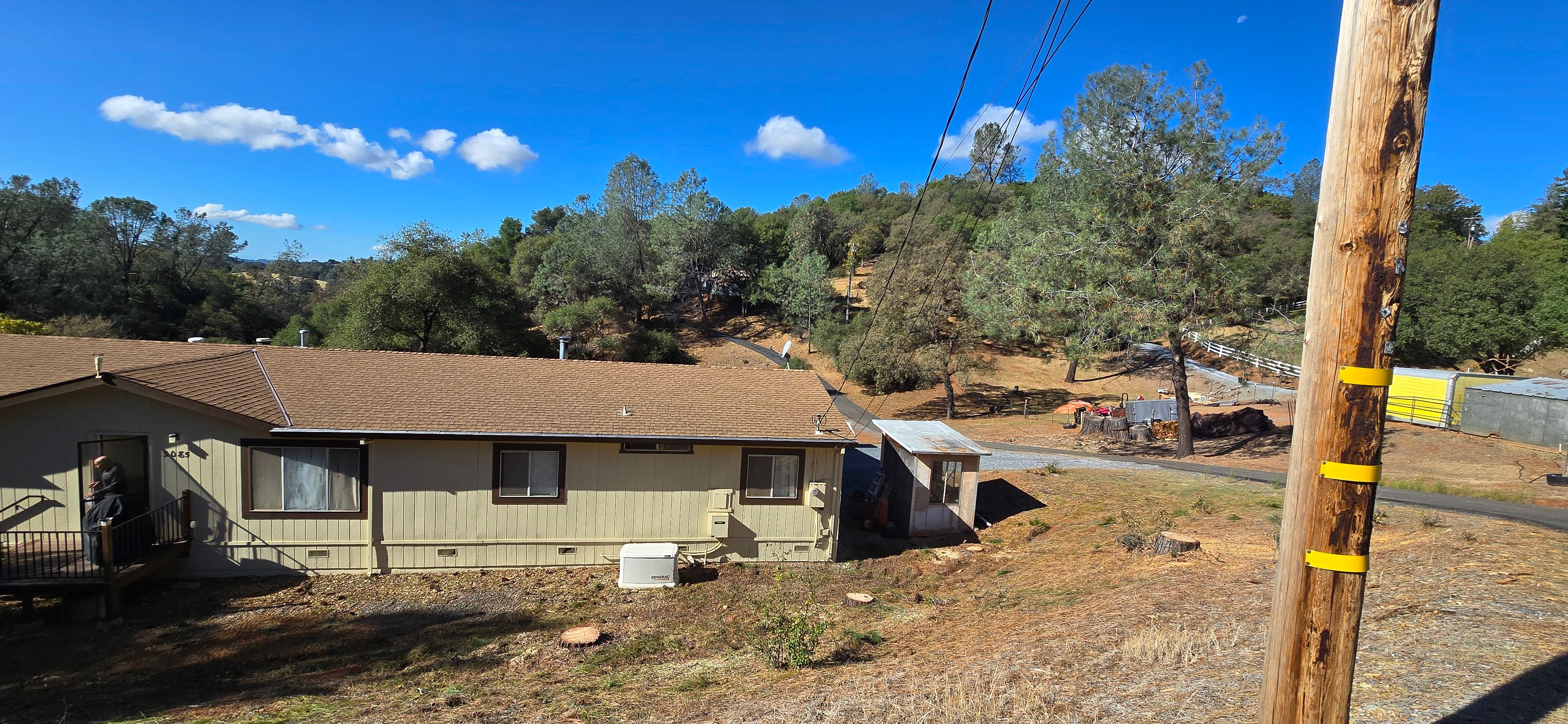  for George Staddan's Professional Tree Care in Placerville, CA