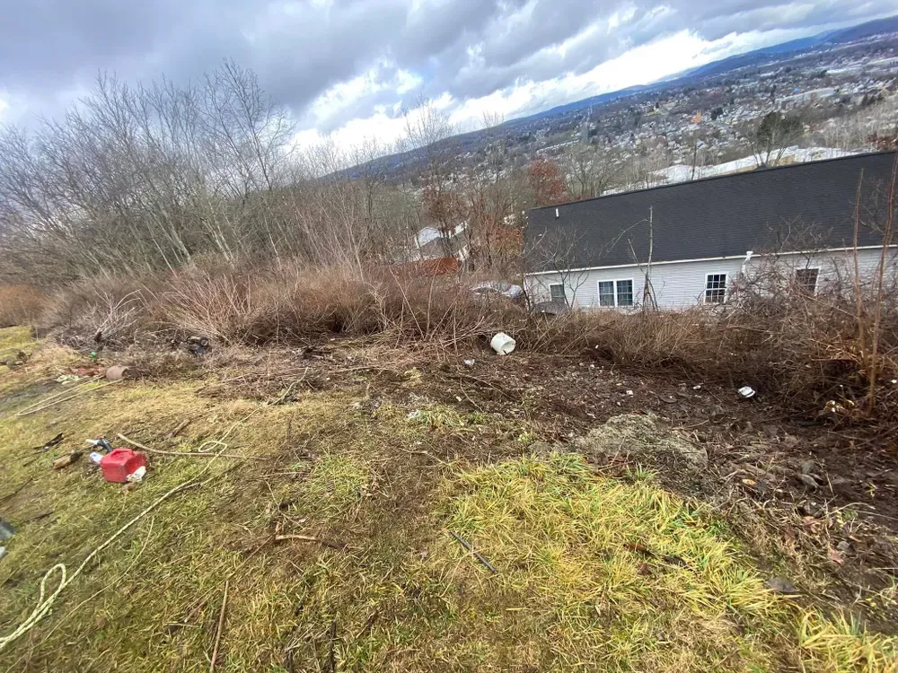 All Photos for Licensed to Cut Tree Service in Athens, PA