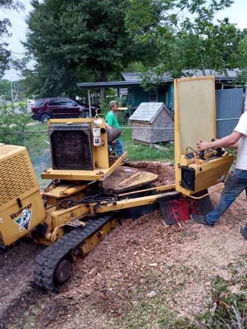  for Fast Cut Tree Service in Jacksonville Heights, FL