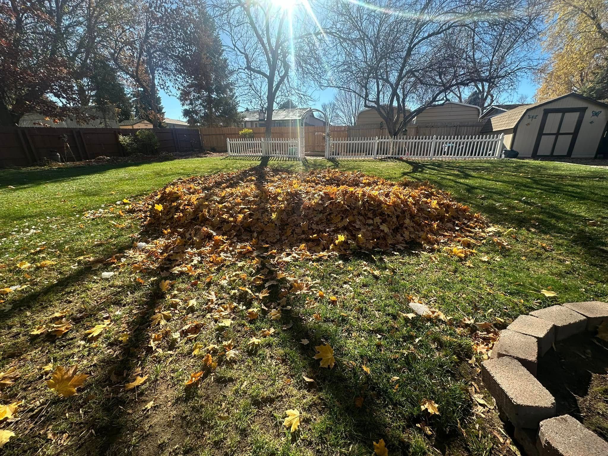 All Photos for Manscaped Lawn Care in Firestone, CO
