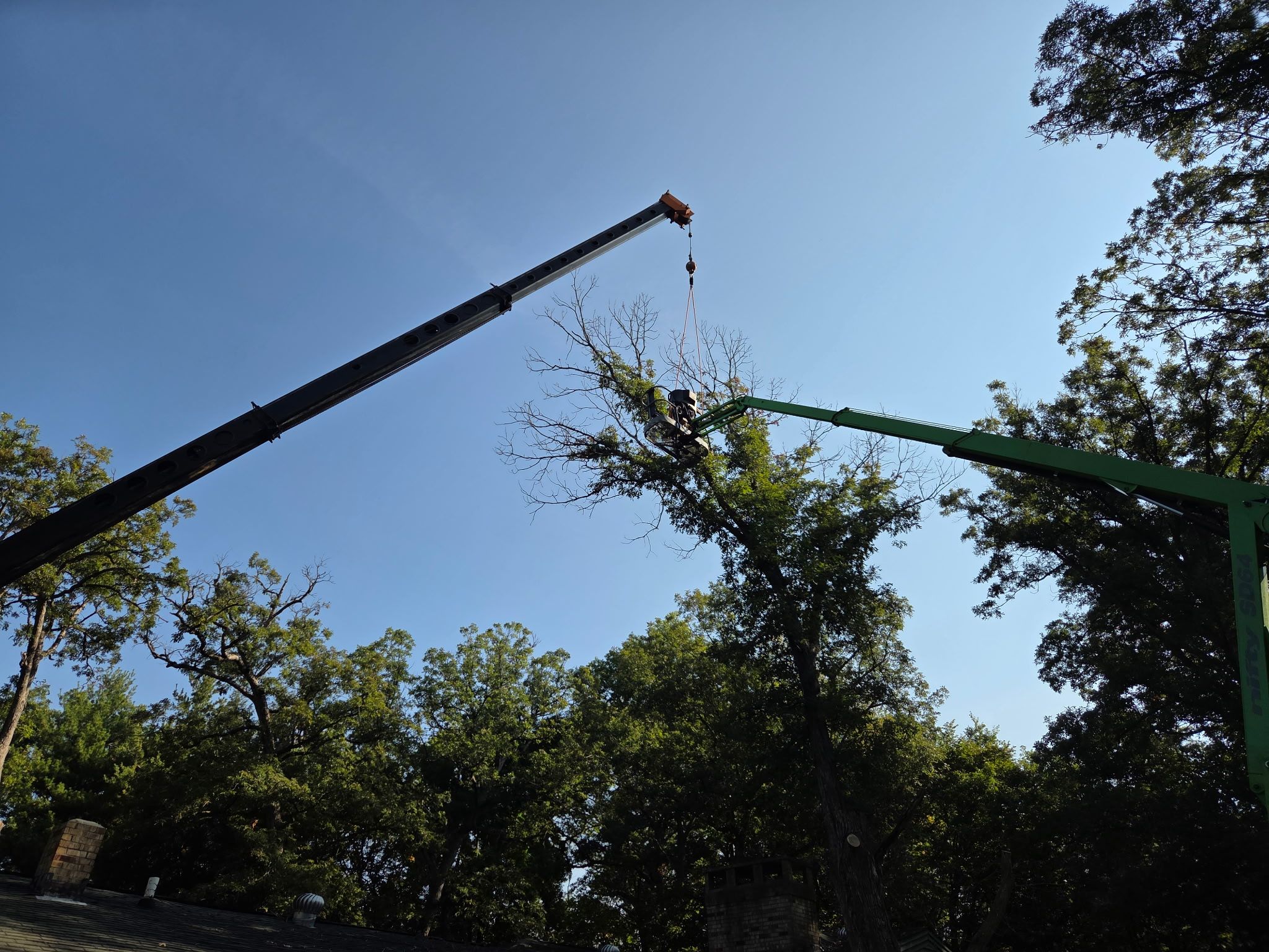 Tree Removal for Olson Tree Service, Inc in Rockford, IL
