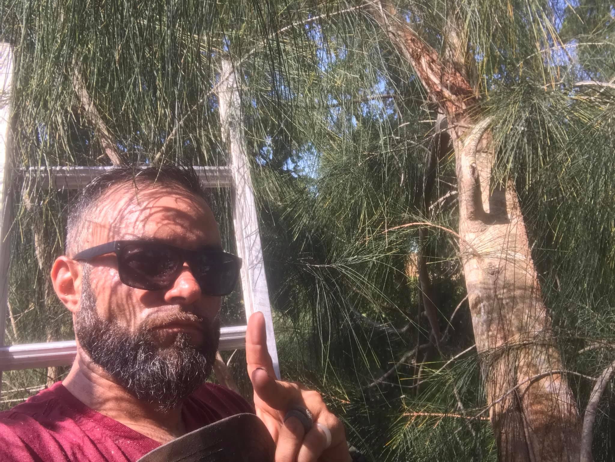  for Alpha Trees Service and Property Management in Port Charlotte, FL