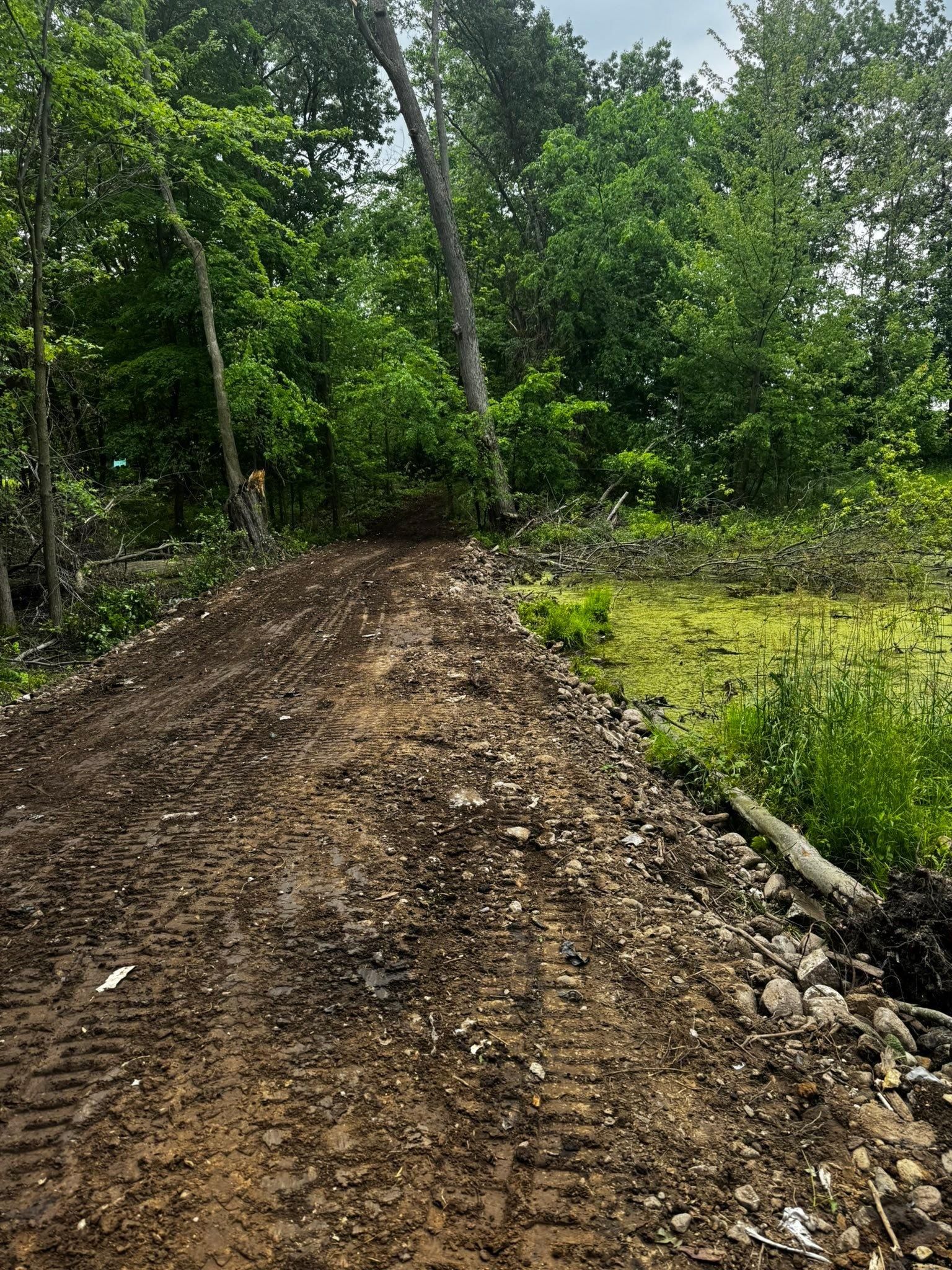 All Photos for Accurate Excavating in Grand Rapids, MI