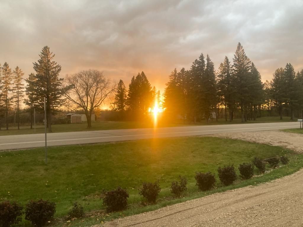  for Dan's Tree Service LLC in Bemidji, MN