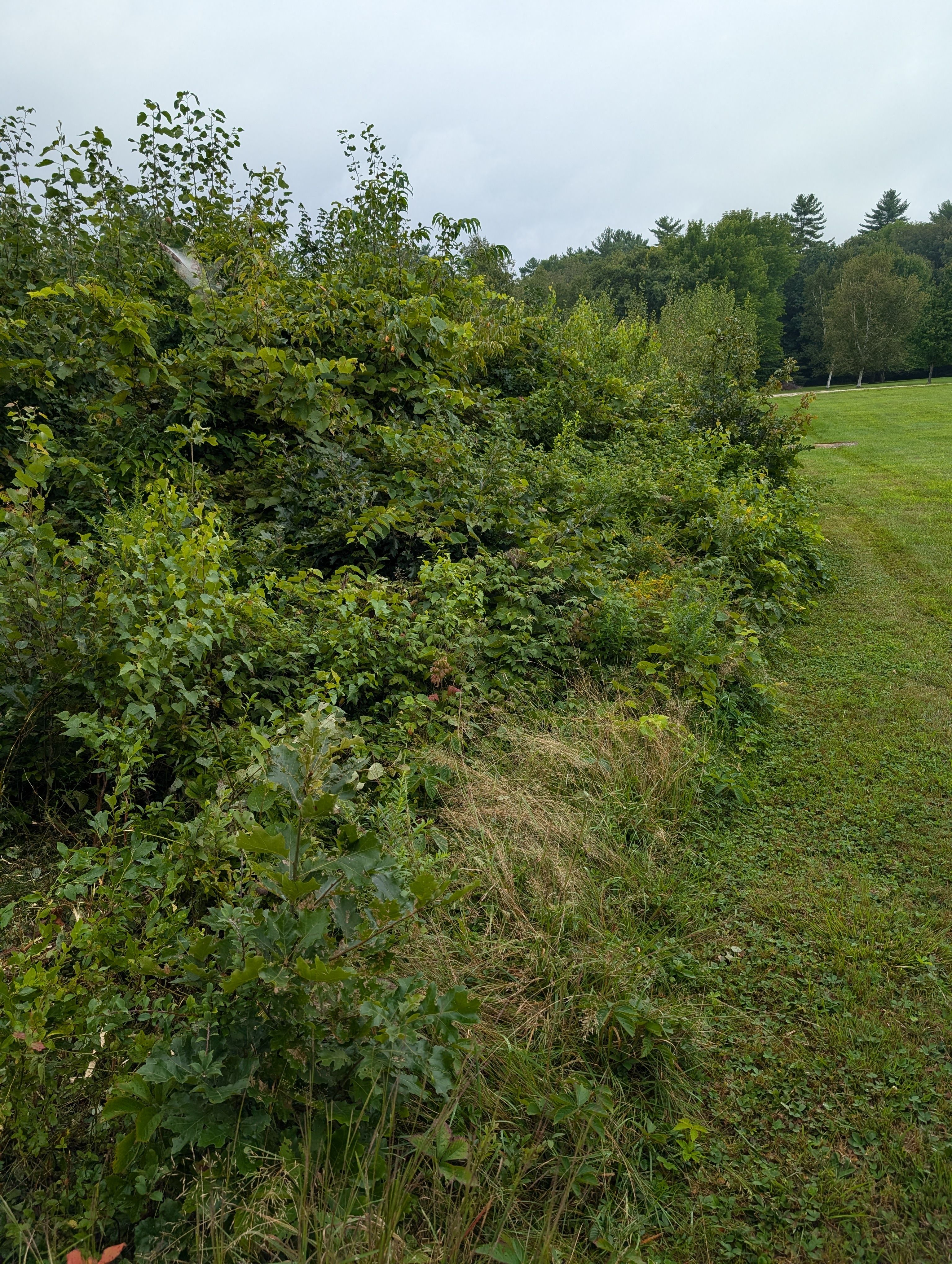  for Krahn Excavation in Oxford County, ME