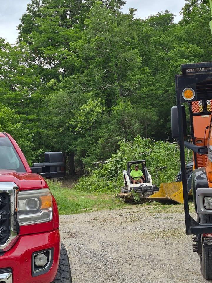  for Carpenter's Tree Service in Aurora, IN