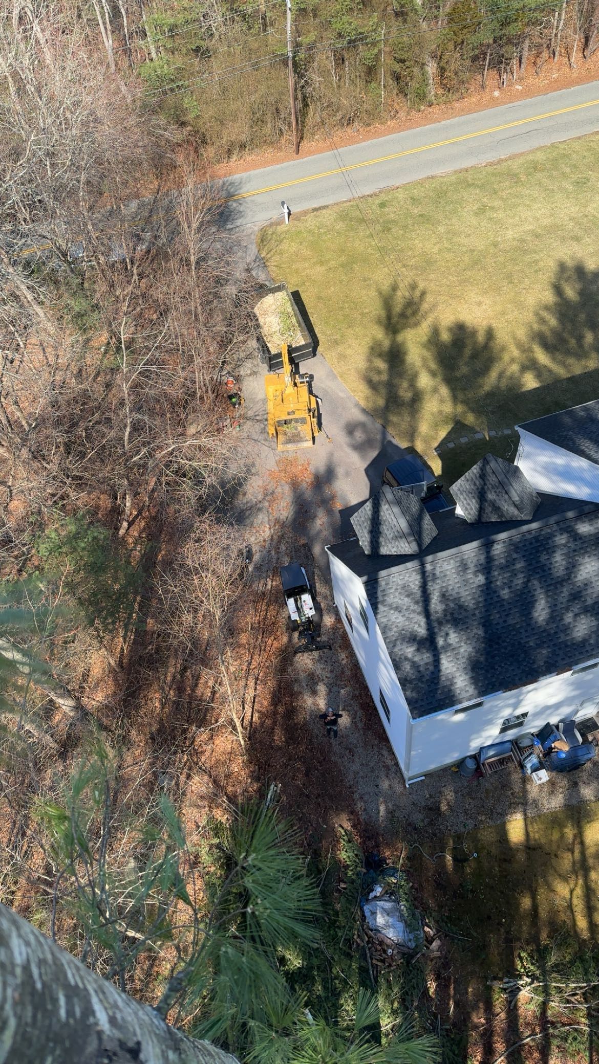 for Powell Tree Service Inc.  in Cape Cod, MA