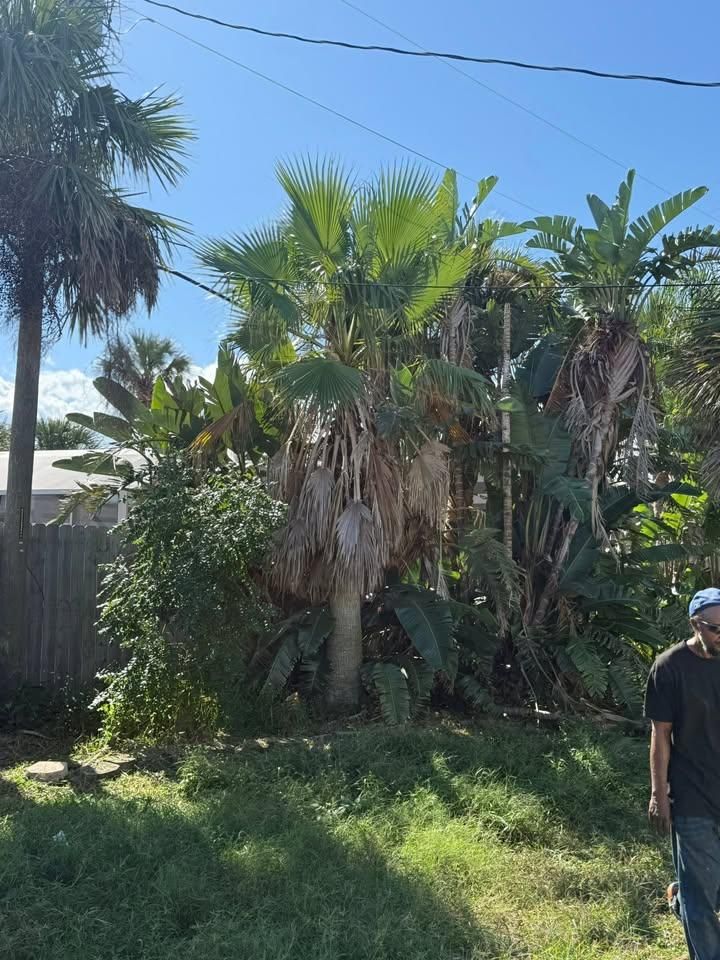  for Grind Time Tree Service in Daytona, FL