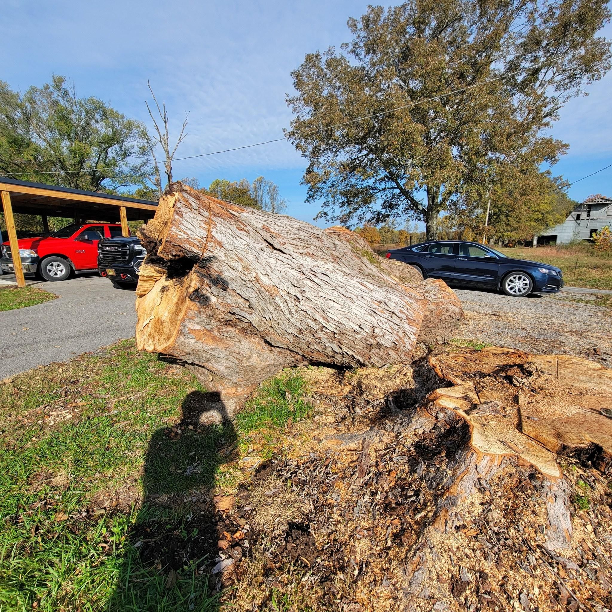  for Z's Land Management & Forestry Mulching in Smithville, TN