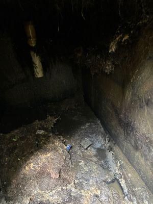  for Reliable Septic Tank Services in Marion County, FL in Reddick, FL