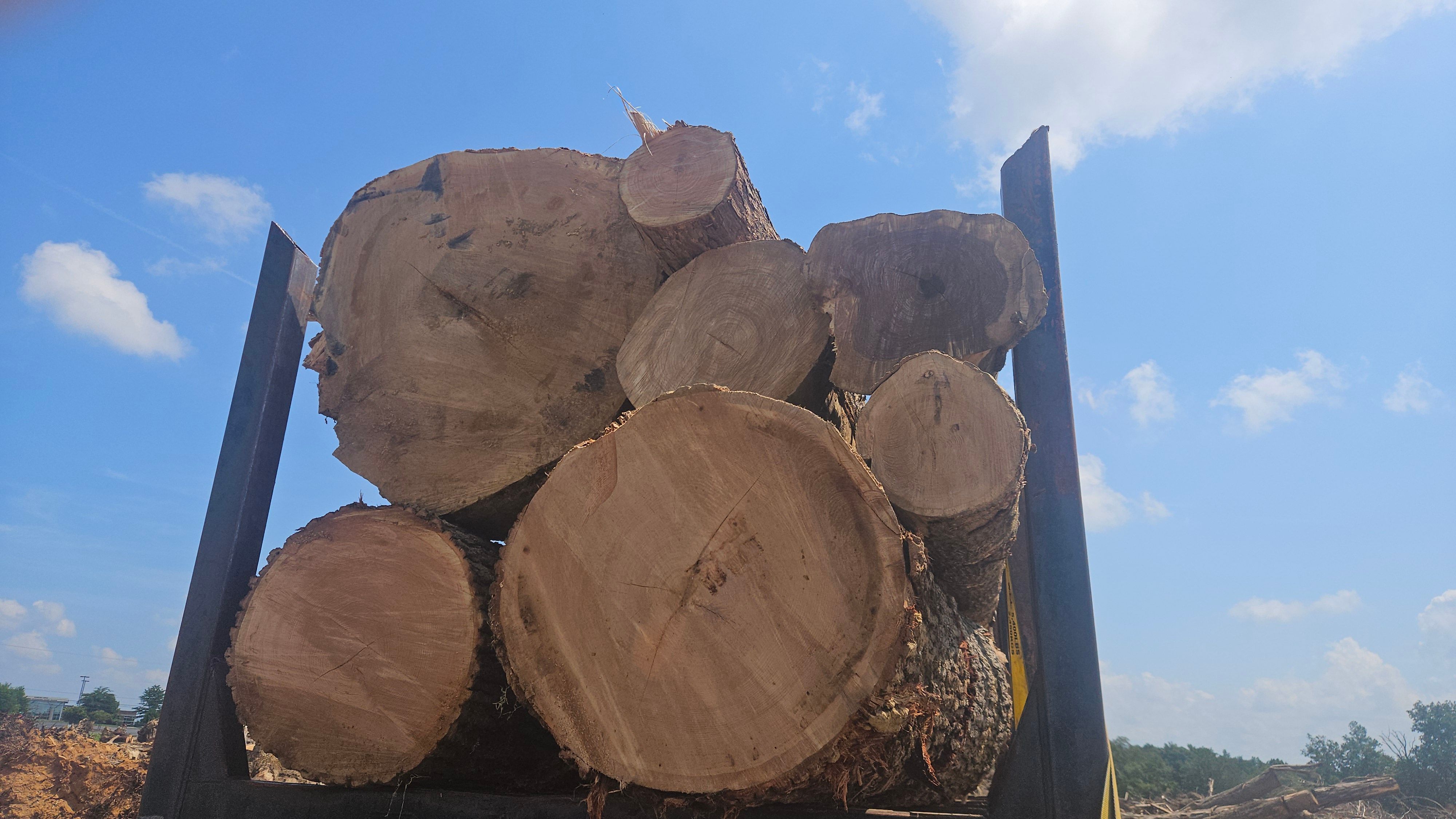  for B&B Land Management in Jamestown, TN