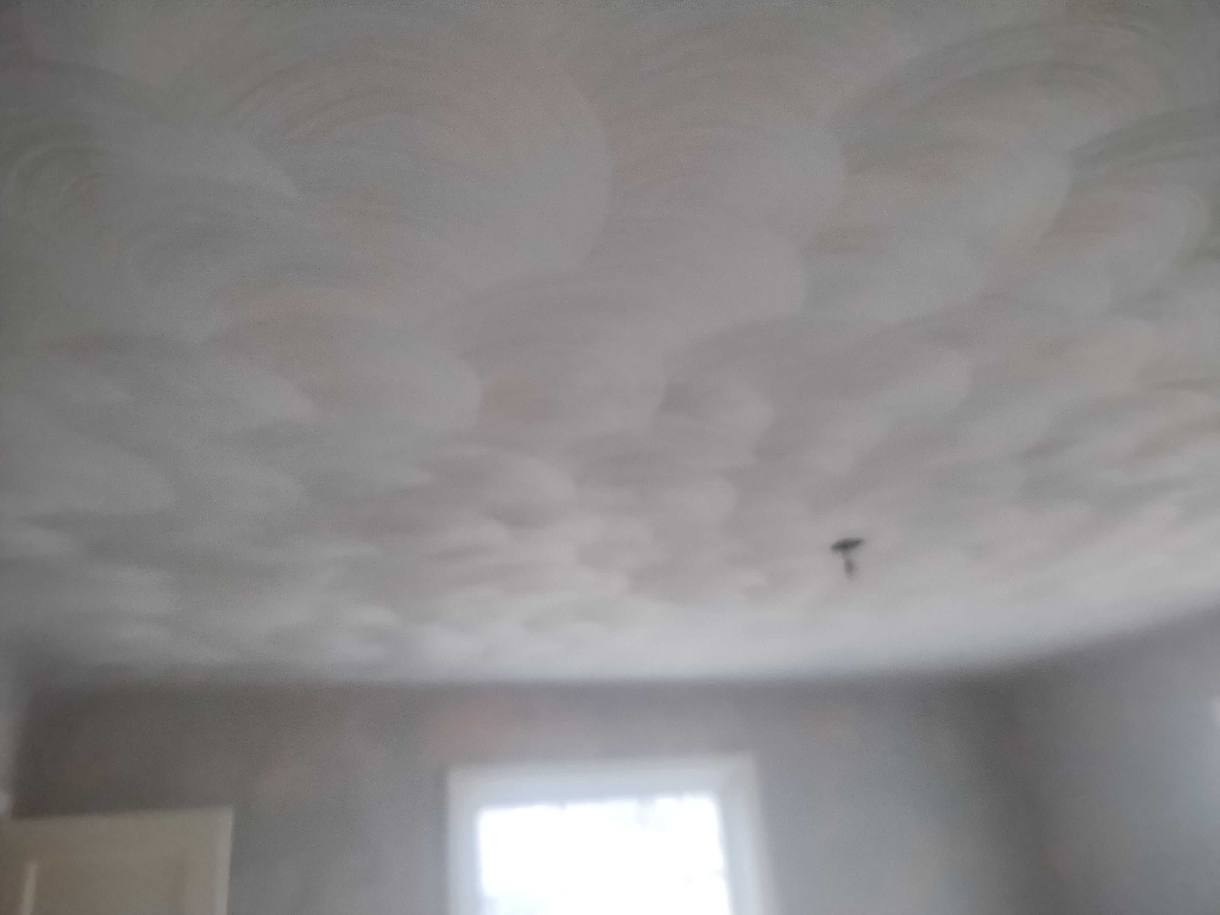  for Tom's Plastering & Drywall Handyman Services in Norfolk, VA