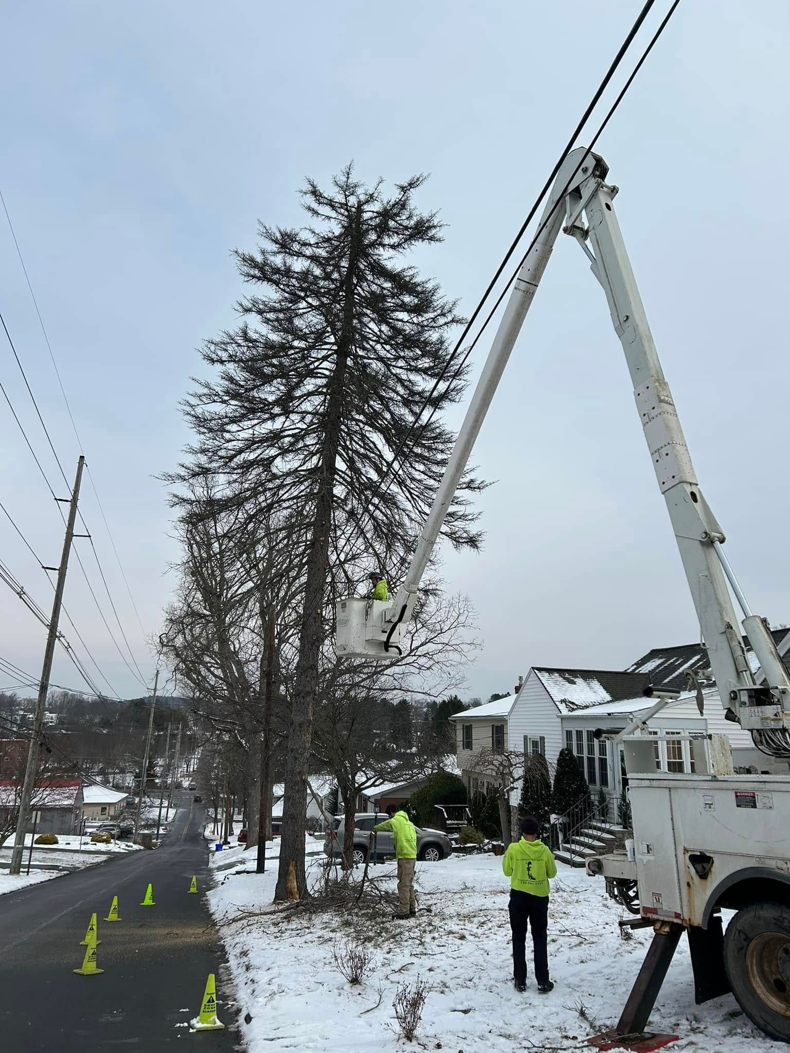  for All American Tree Services LLC in Dallas, PA