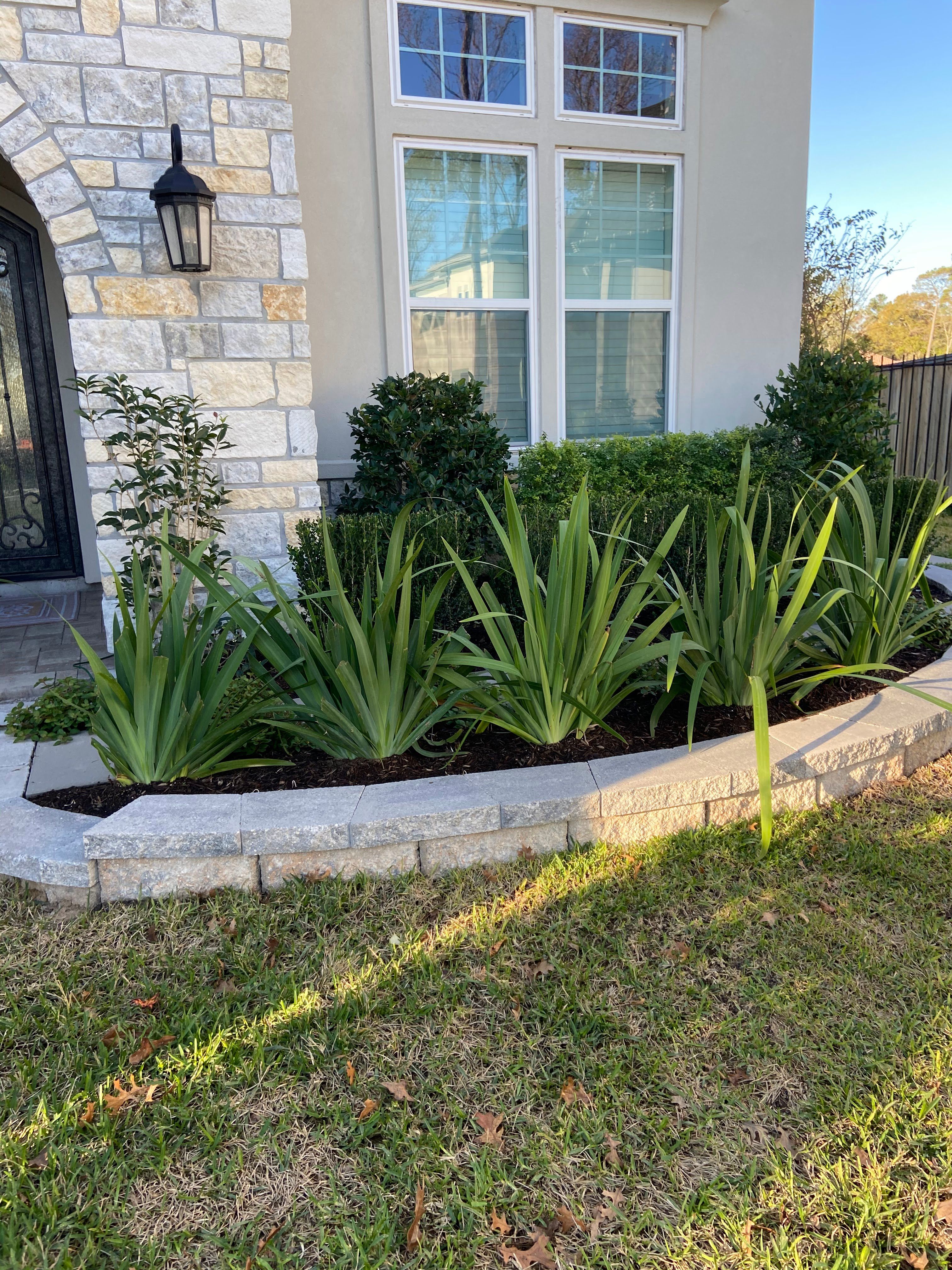 All Photos for Atlas Land Design in Creekside Park, TX