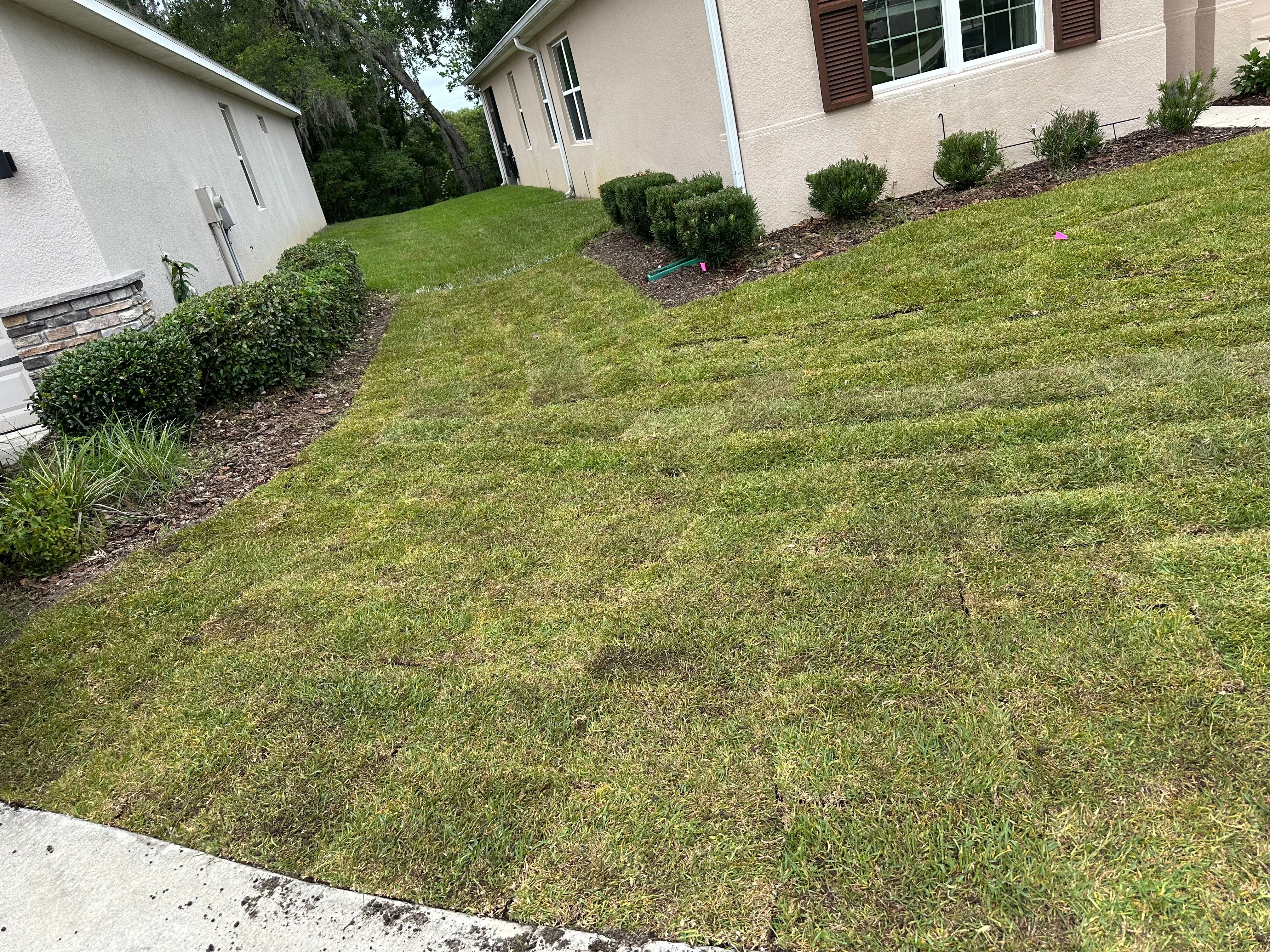  for Gulf Bay Sod in Clearwater, FL
