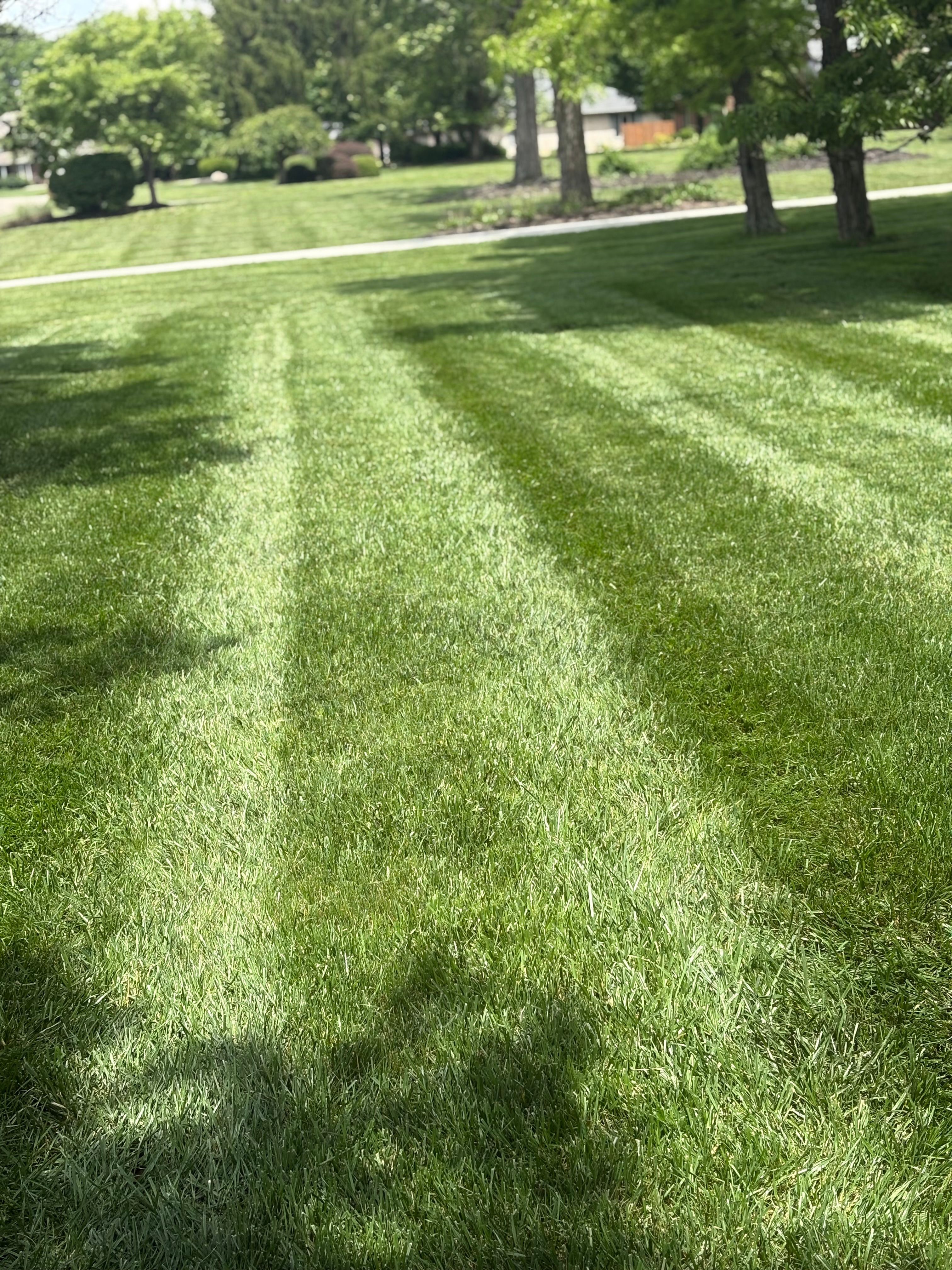 All Photos for Red Beard Lawn Care in Chillicothe, OH