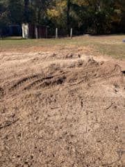  for Reliable Stump Grinding in Frankston, TX