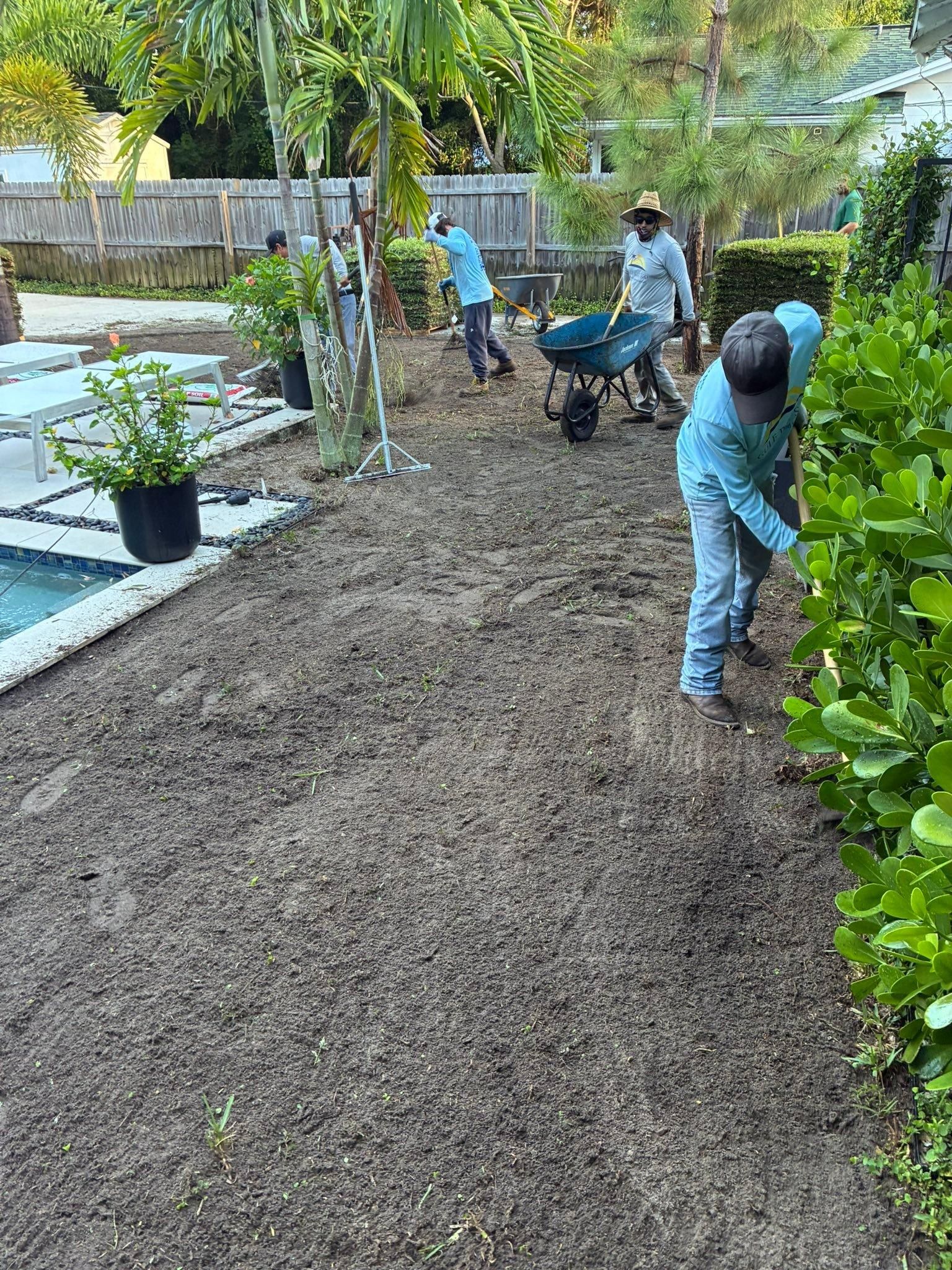  for Gulf Bay Sod in Clearwater, FL