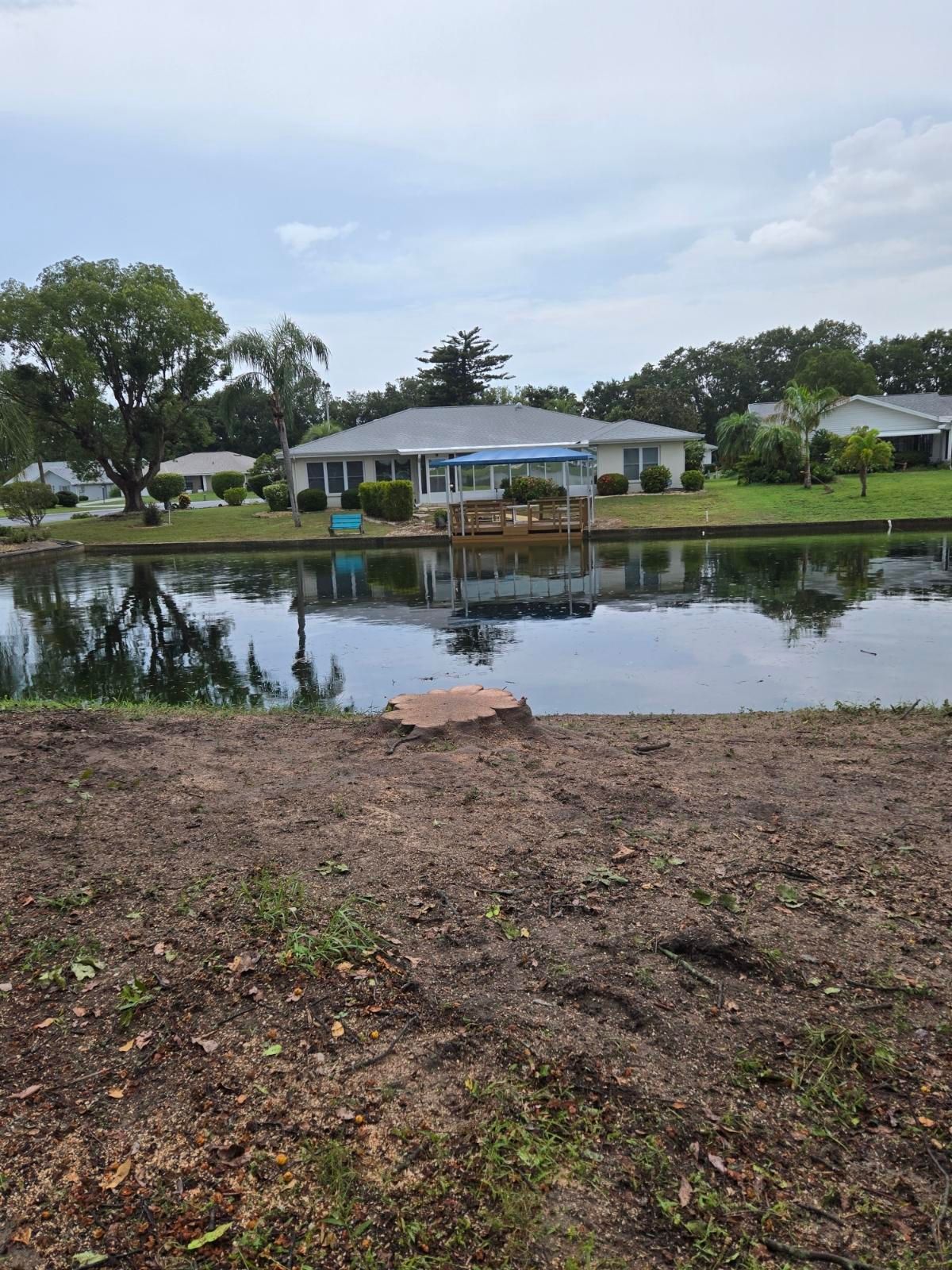 Tree Removal for TREE BOYS in Ruskin, FL