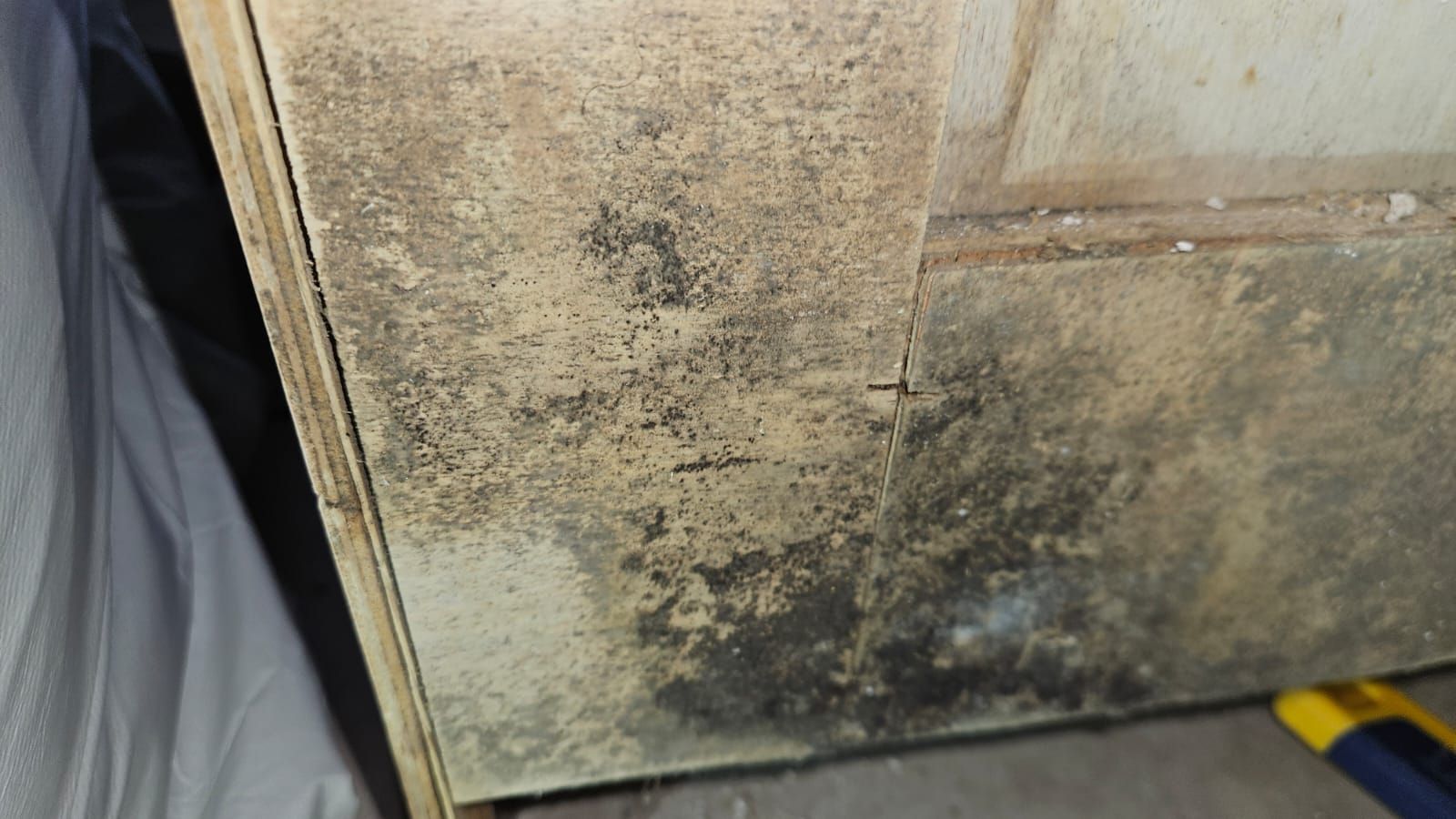  for N&D Restoration Services When Disaster Strikes, We Come In in Cape Coral,  FL