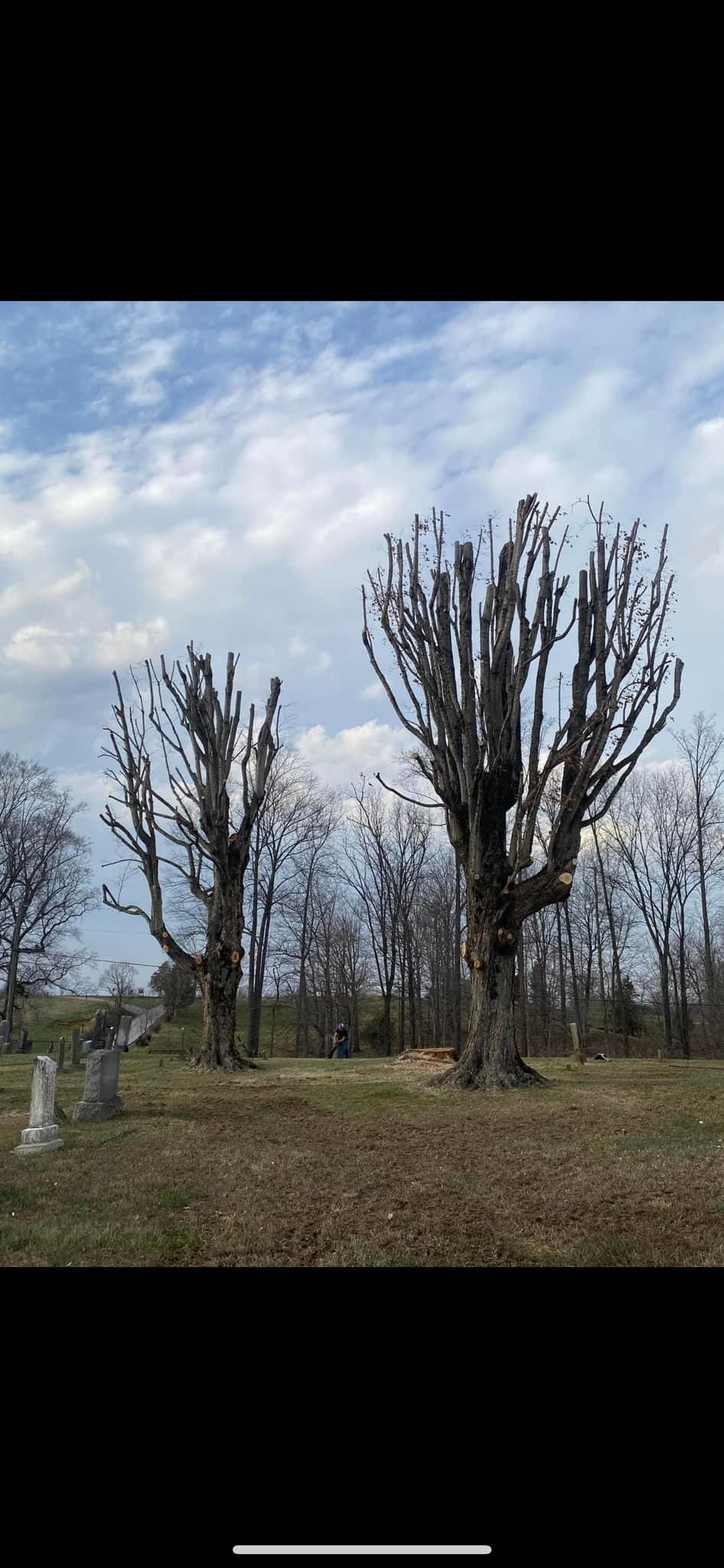 Fall and Spring Clean Up for Atwood’s Tree Care in Liberty,  KY