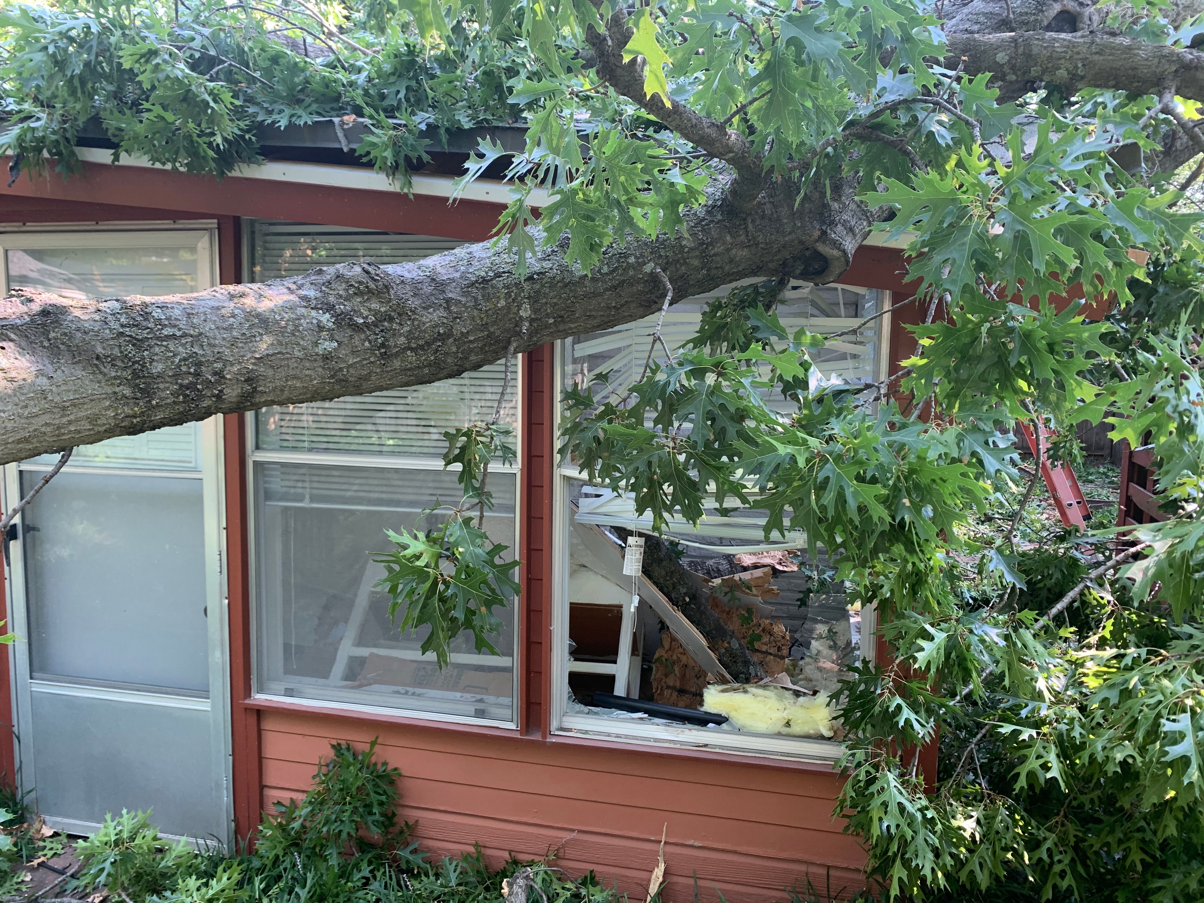  for TLC Professional Tree Service in Bedford, TX