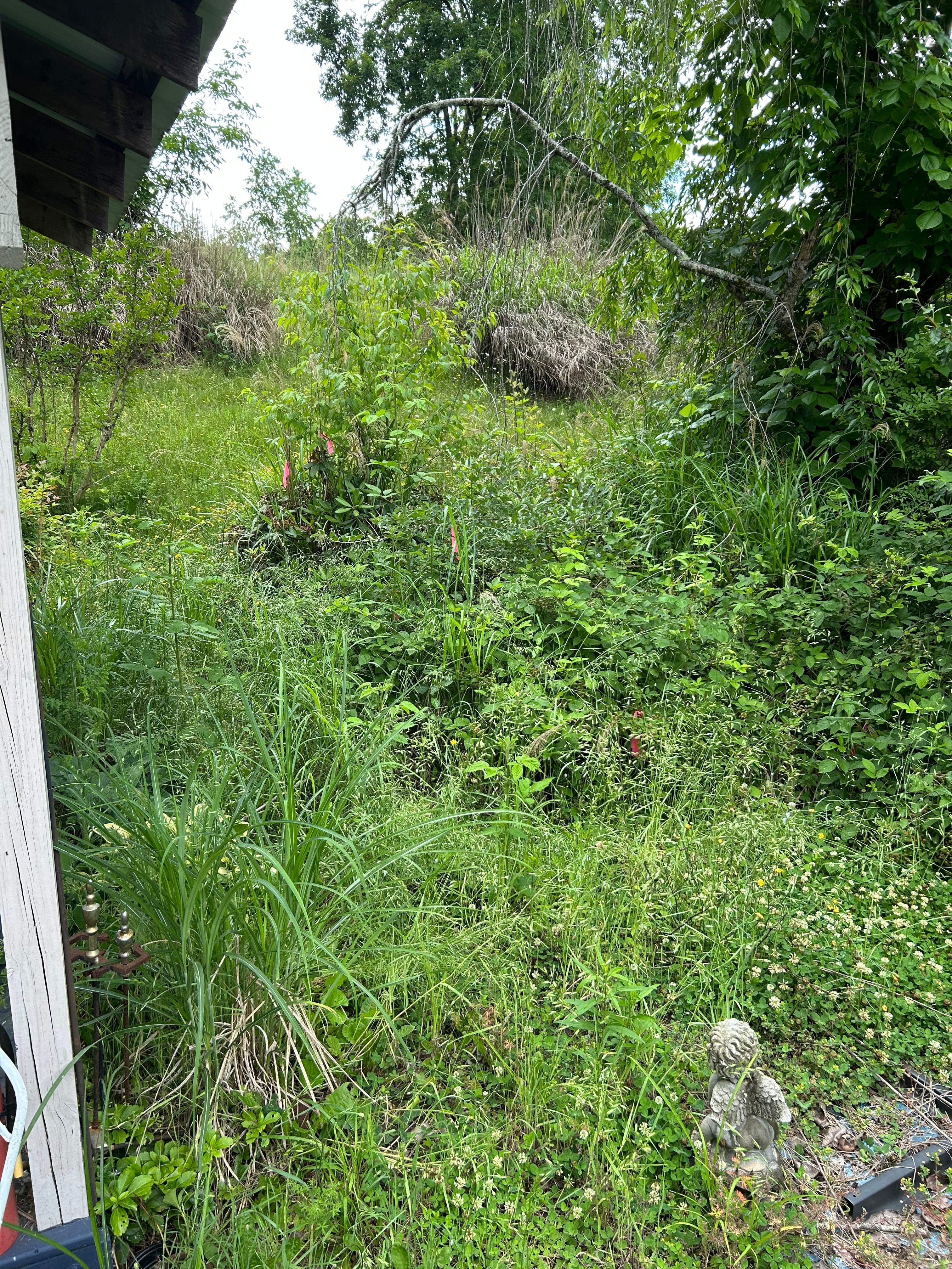 All Photos for Gatrell Landscape & Tree Removal in Bluff City, TN