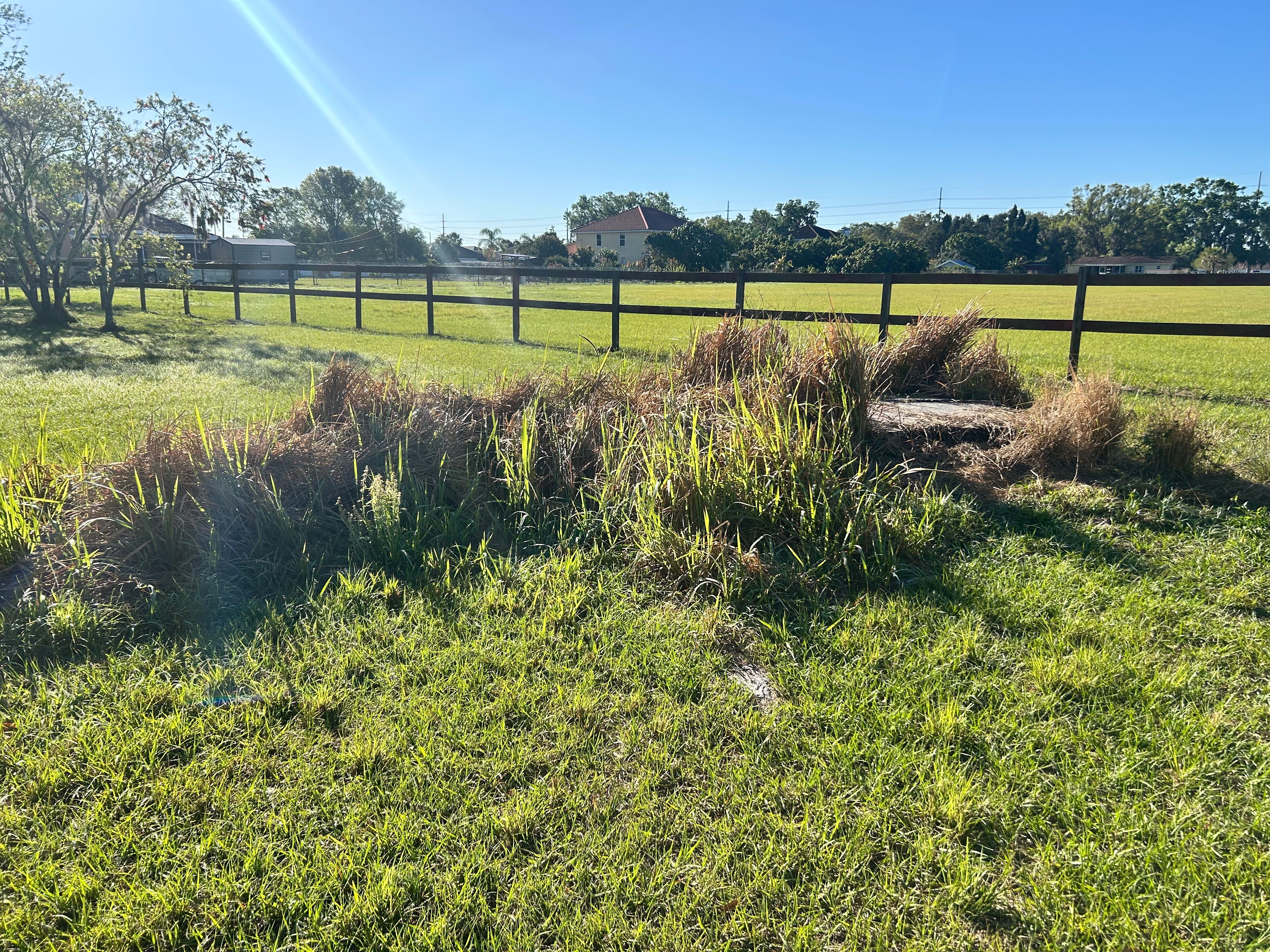  for Greene Acres Stump Grinding in Plant City, FL