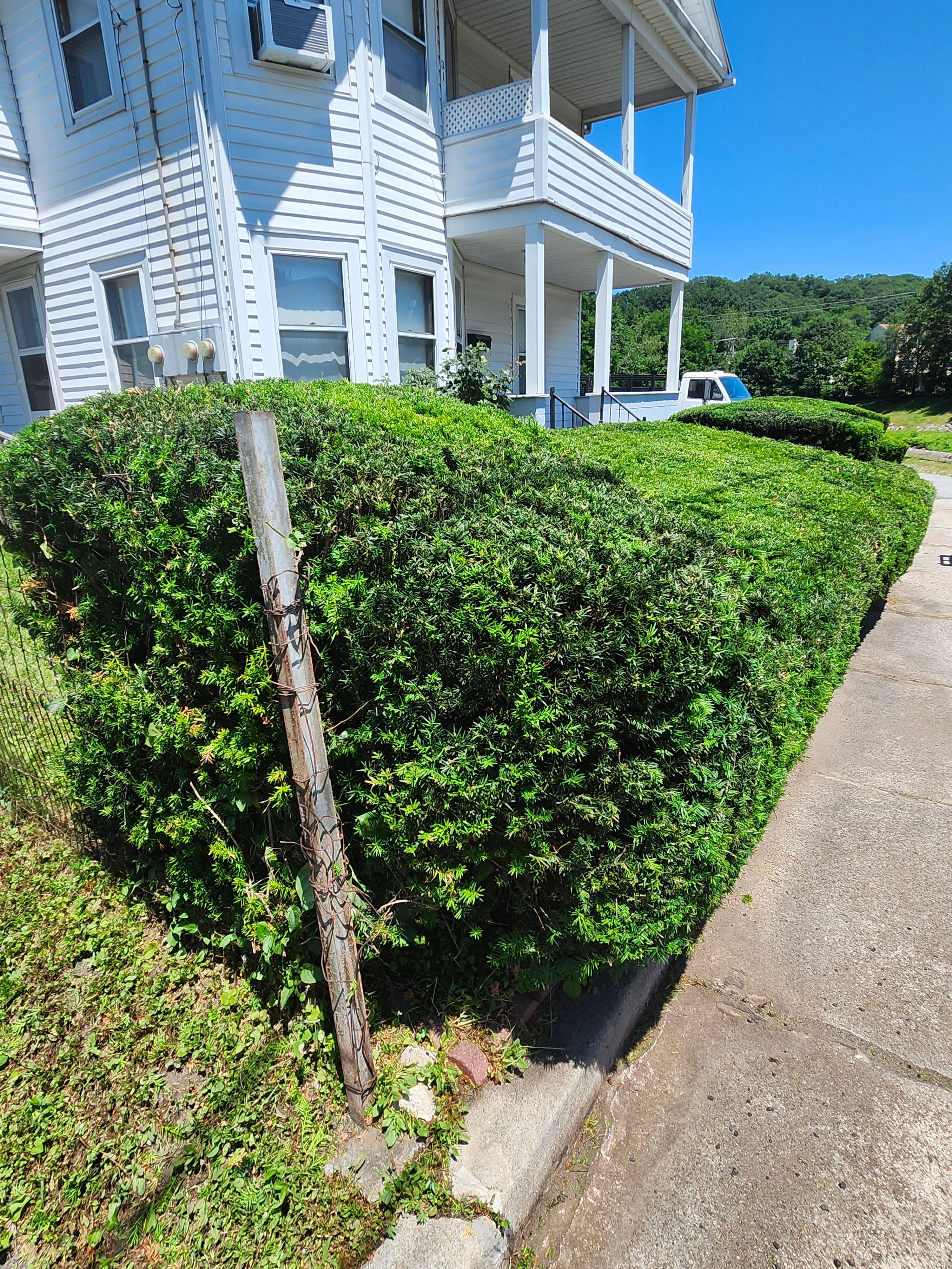 Hedge/Tree/Brush Cutting for Landscape Innovations LLC in Torrington, CT