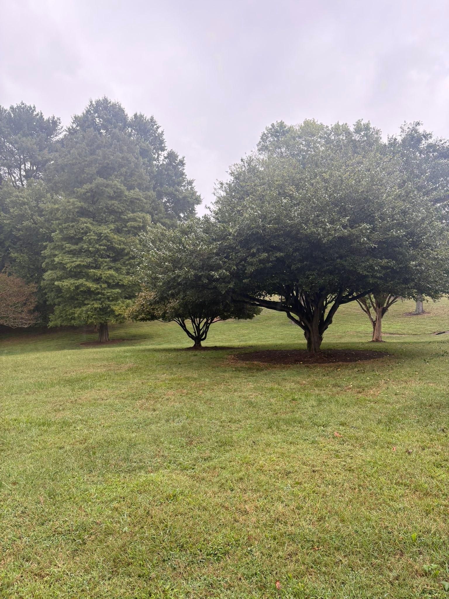  for Queen’s Landscaping in Kernersville, NC