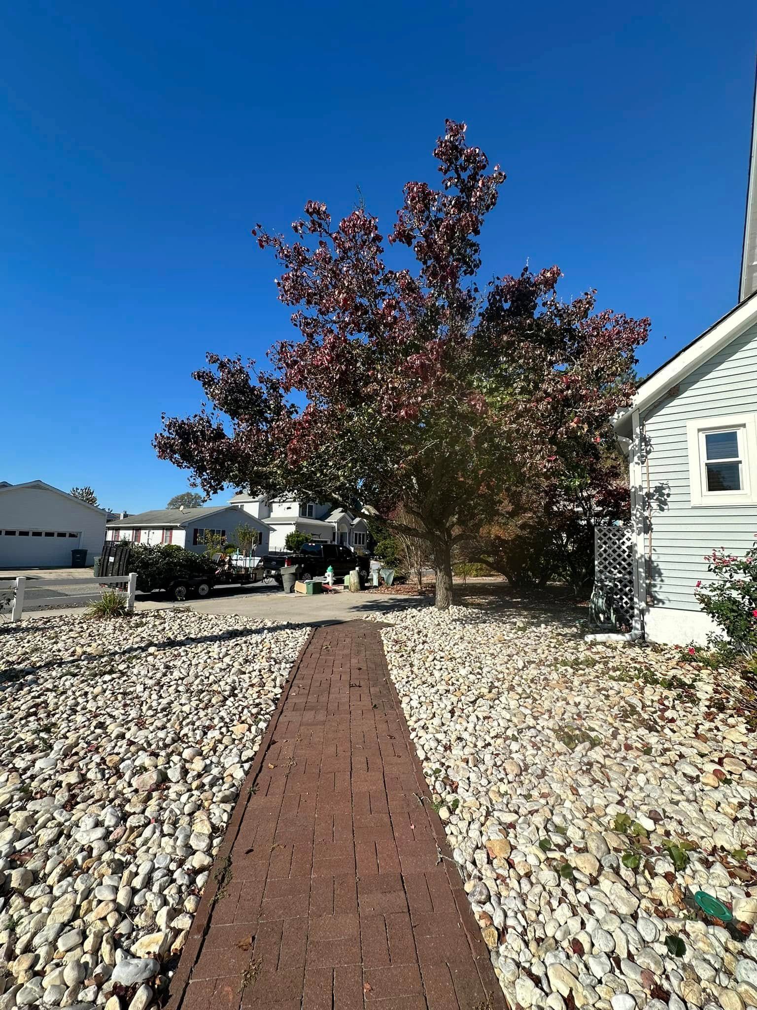 All Photos for Alex’s Grass Care in Salisbury, MD