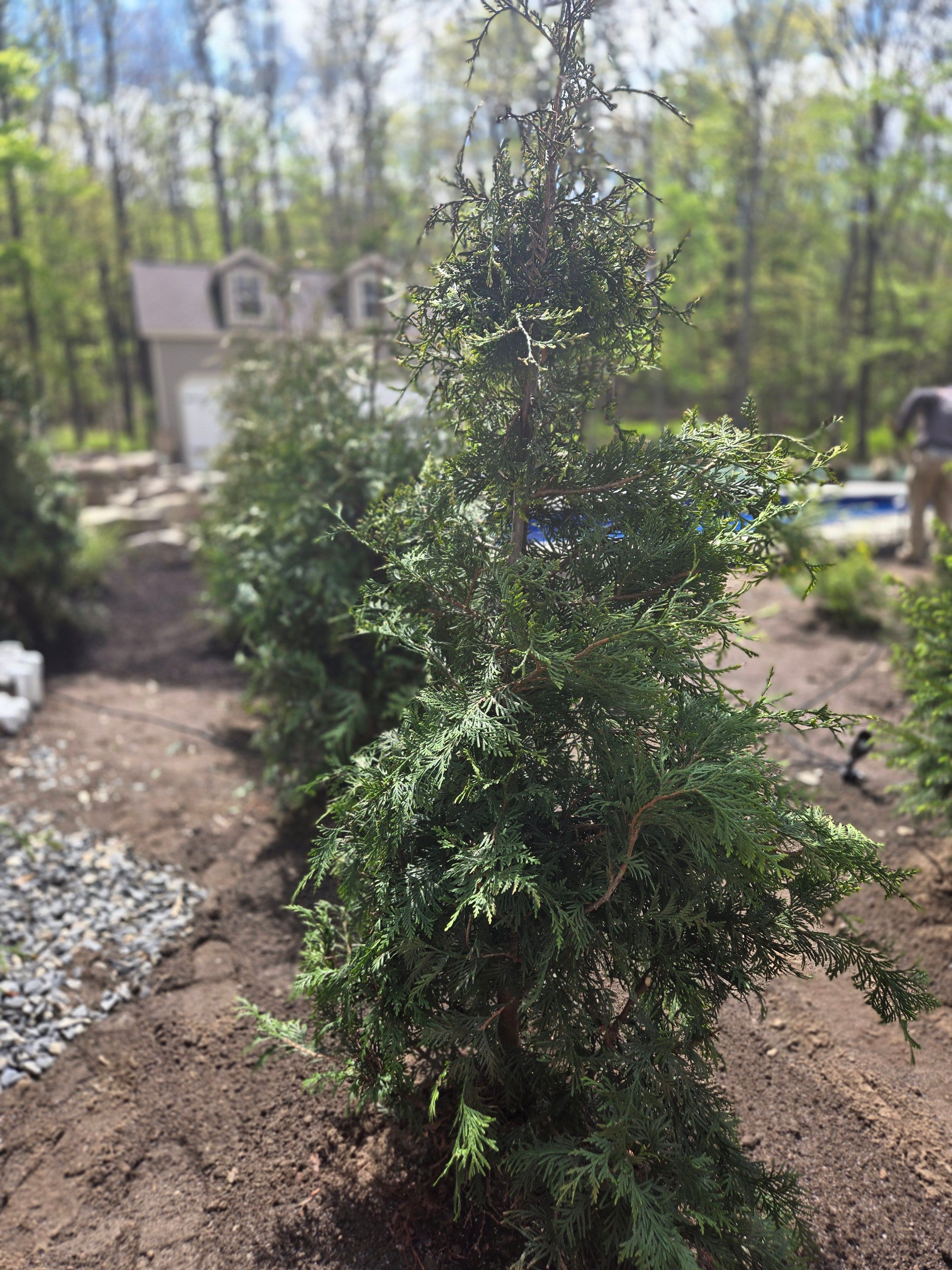 for Tony Monaco Landscaping Inc. in Orange County, NY