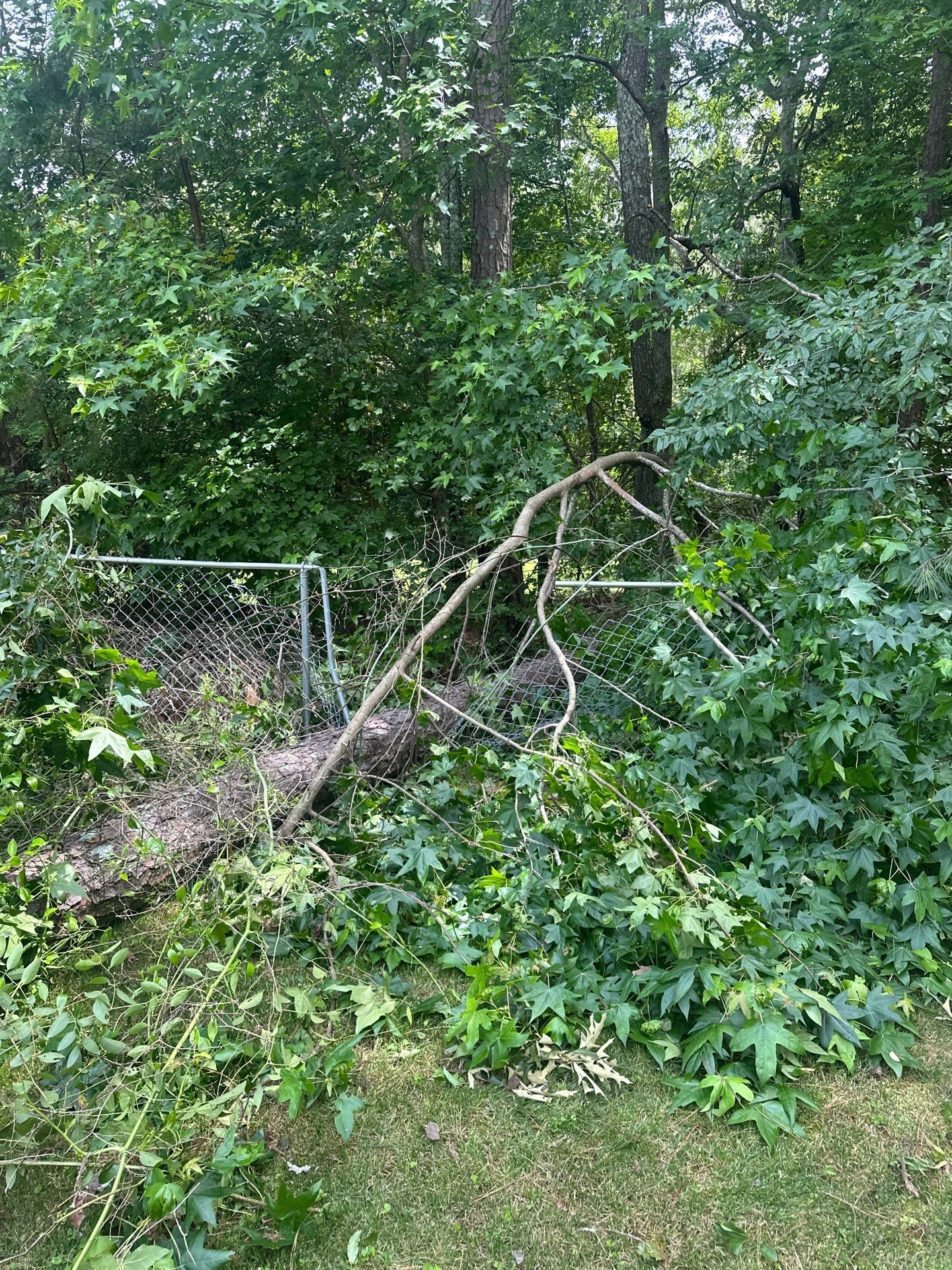  for Bulldawg Disaster Response in Atlanta, GA