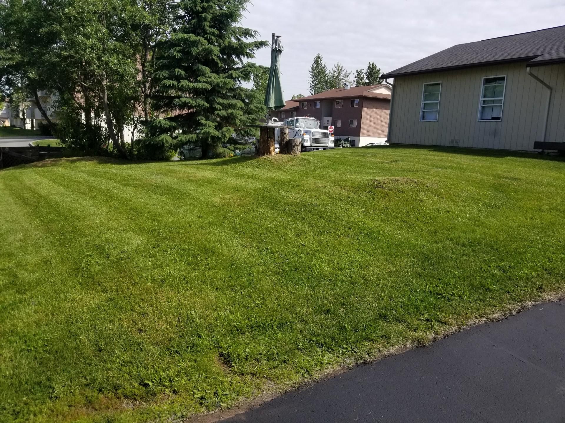  for Total Lawn Care Service in Anchorage, AK