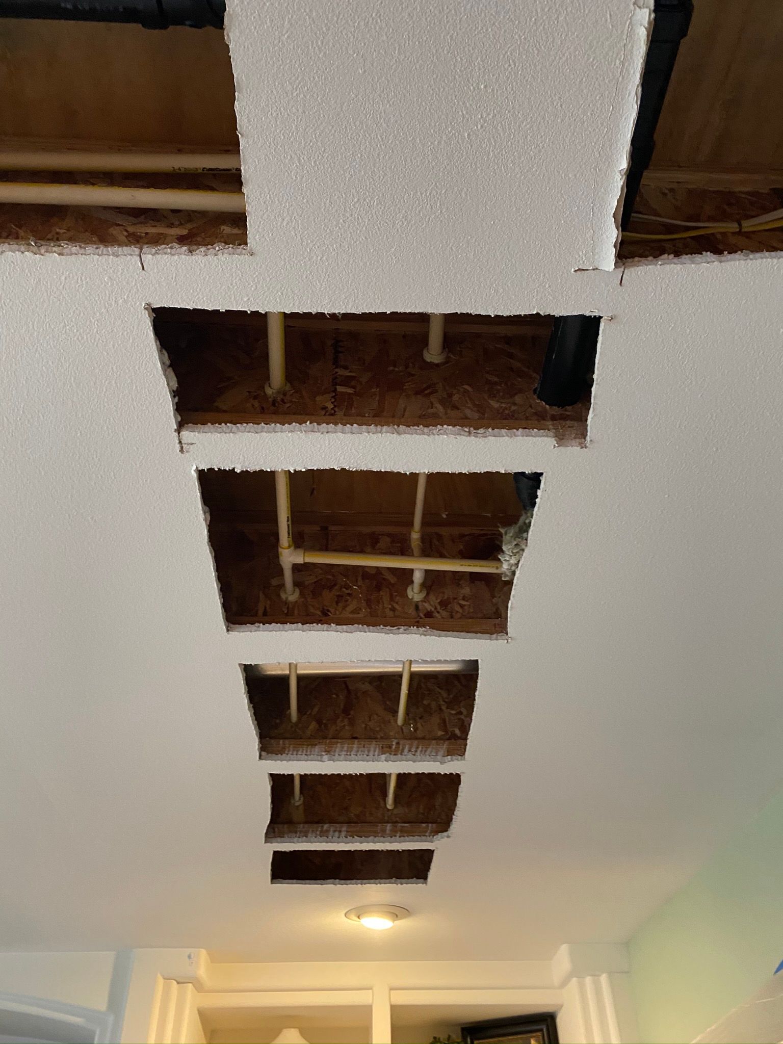  for Tony's Remodeling & Painting in Renton, WA