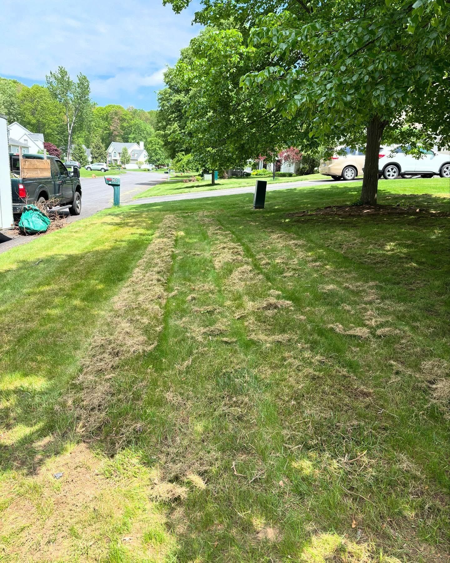  for Bumblebee Lawn Care LLC in Albany, New York