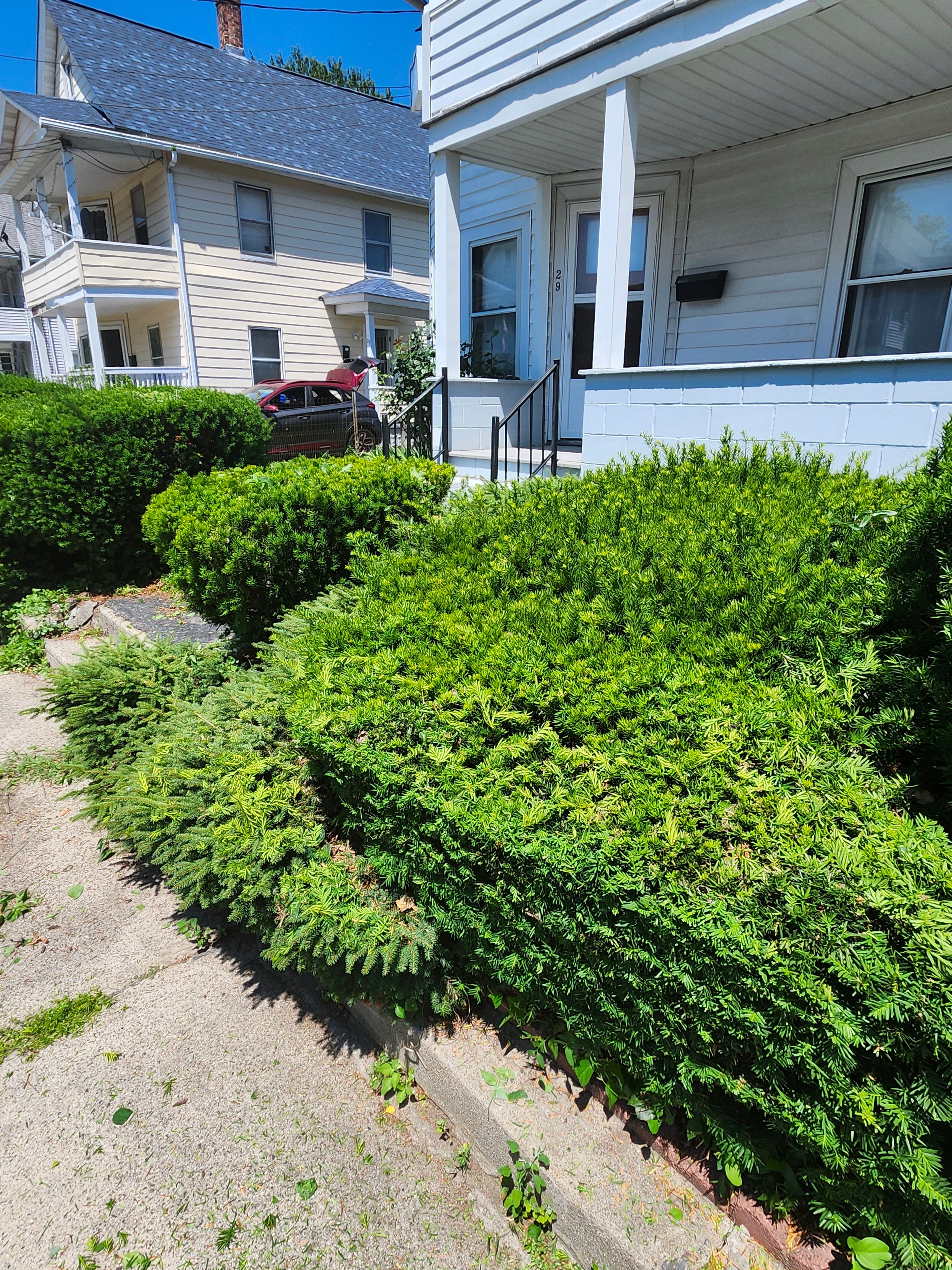 Hedge/Tree/Brush Cutting for Landscape Innovations LLC in Torrington, CT