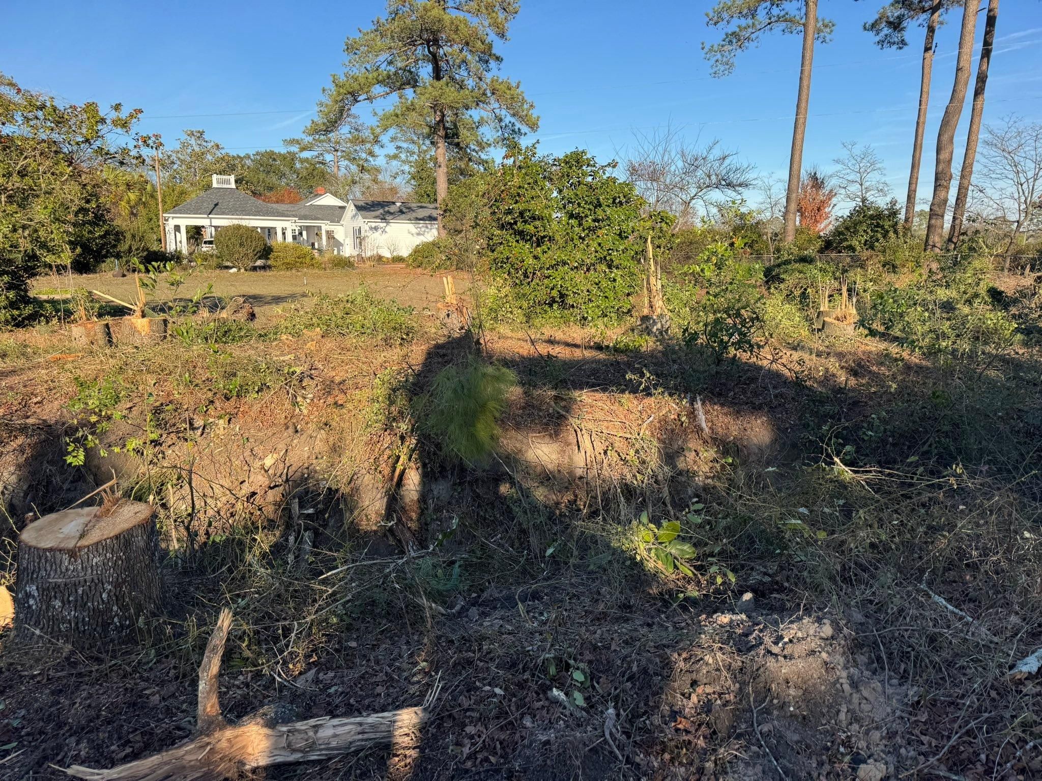 All Photos for Clean Acres in Hartsville, SC