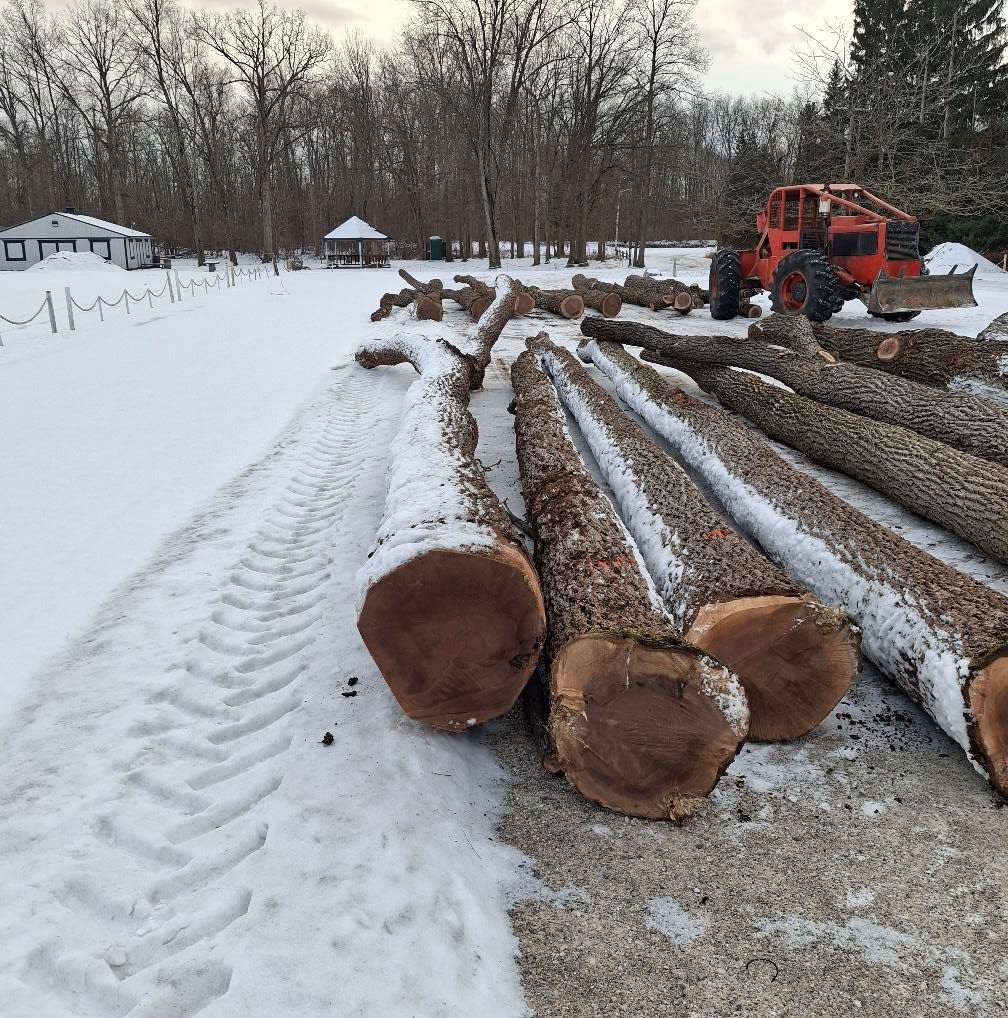  for God's Country Timber Management in Hillsdale, MI
