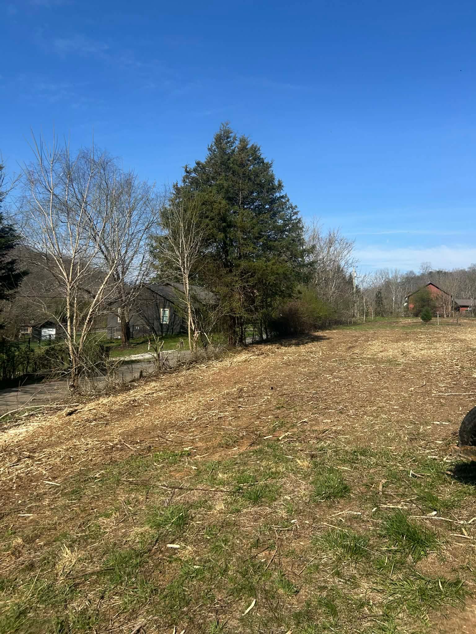  for Z's Land Management & Forestry Mulching in Smithville, TN