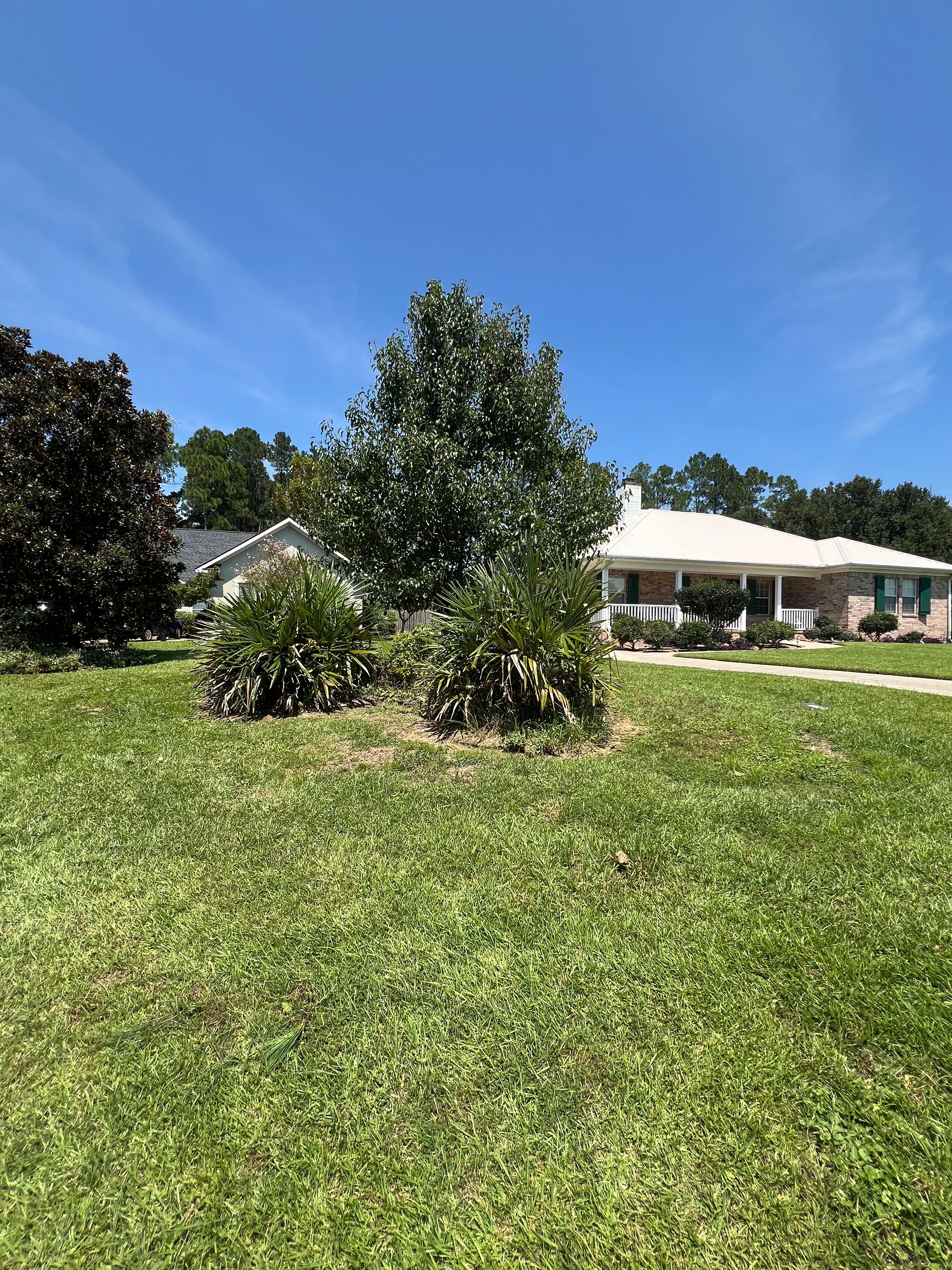  for Southern Venom Services in Daphne, AL