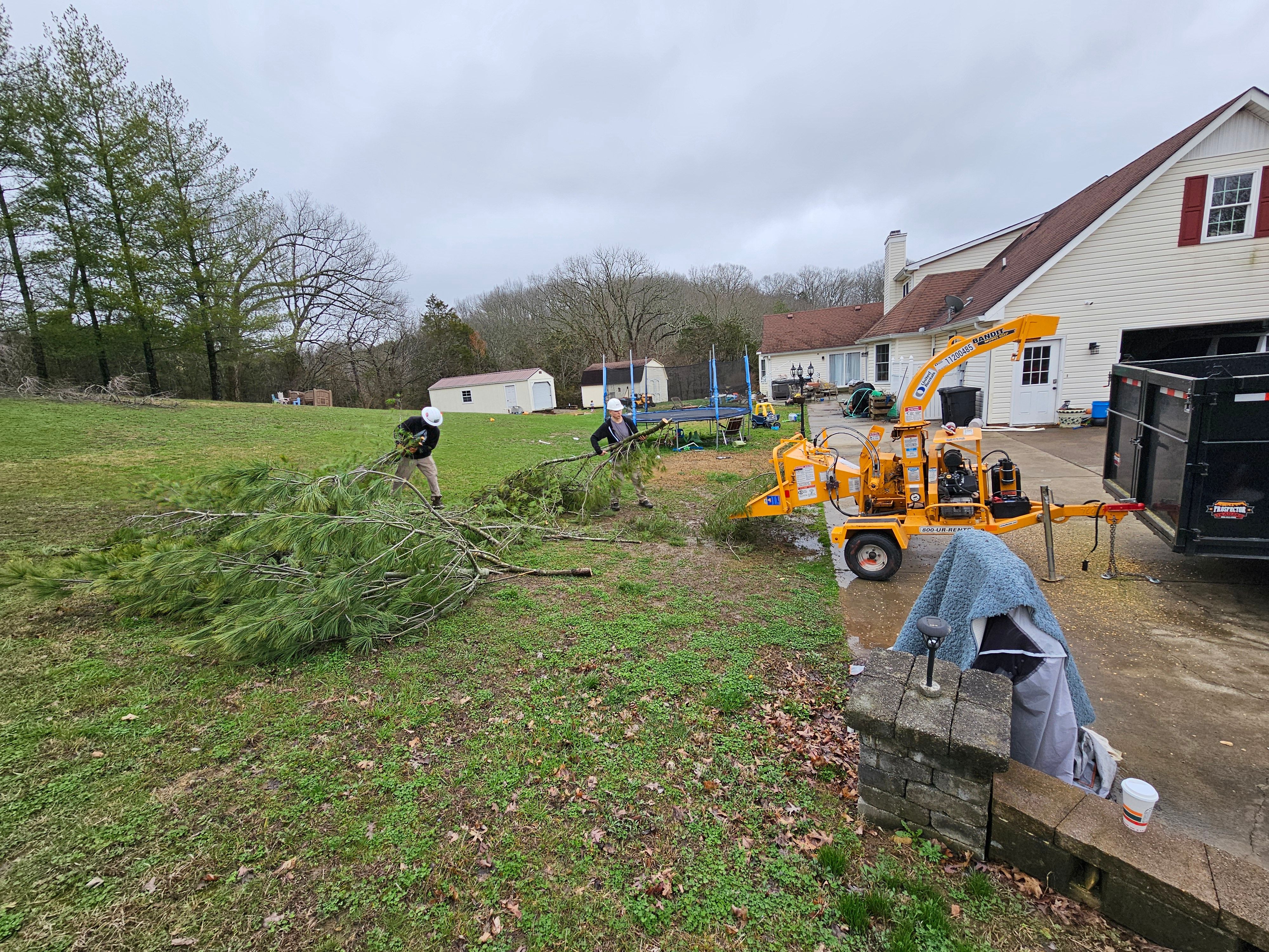  for Affordable Tree Service TN in White House, TN