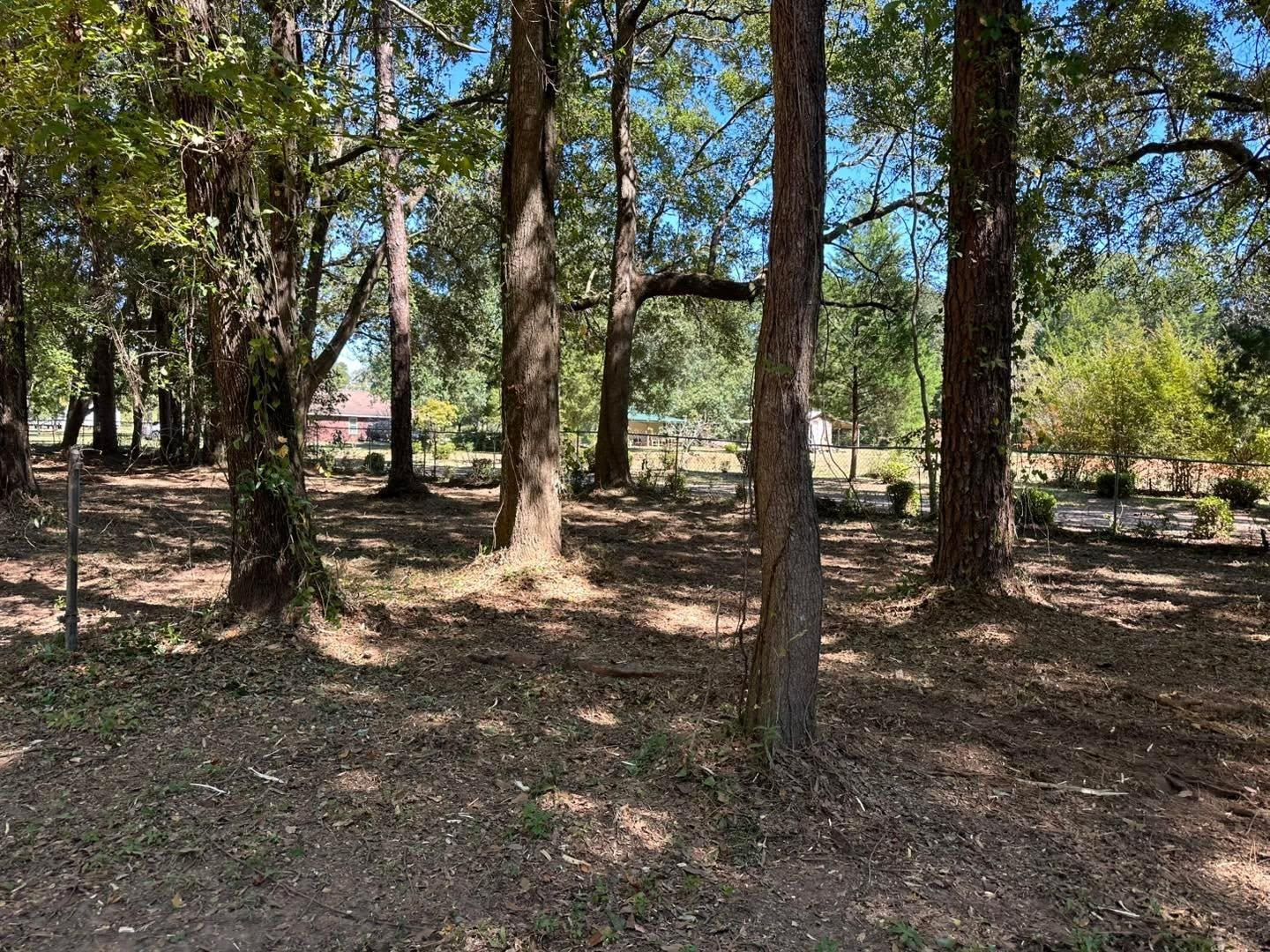  for White’s Land Maintenance in Milton,, FL
