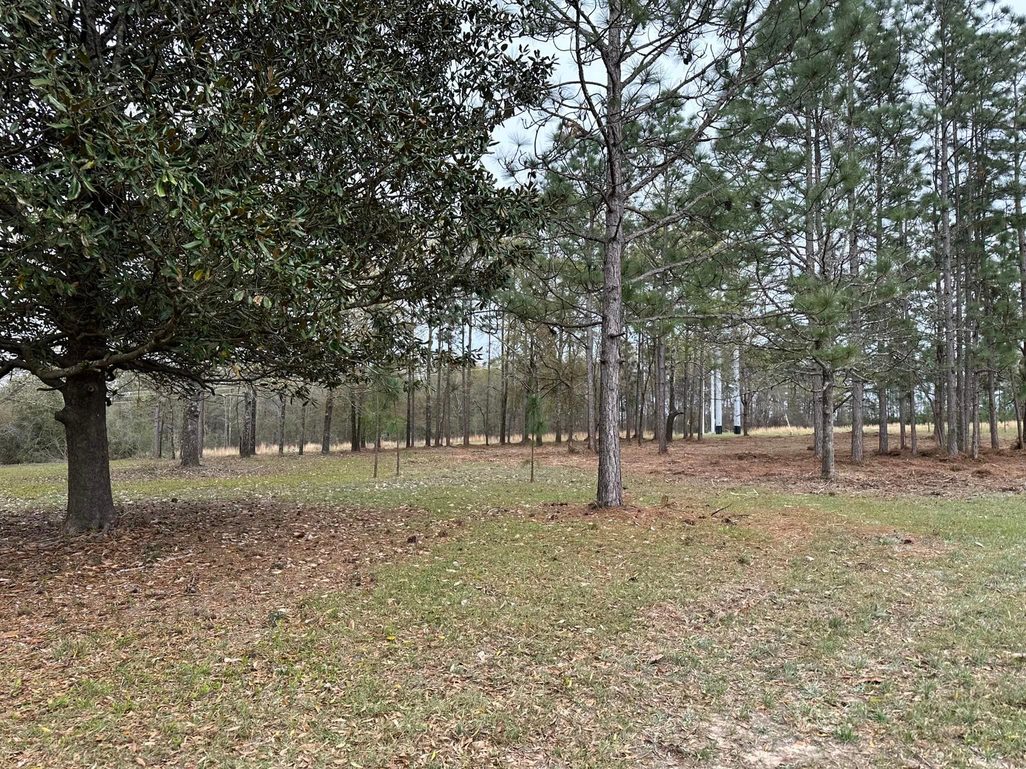 All Photos for White’s Land Maintenance in Milton,, FL