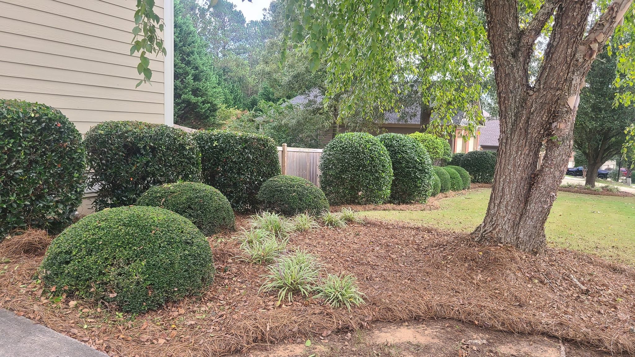  for A&A MultiScapes and Tree Service in Dallas,  GA