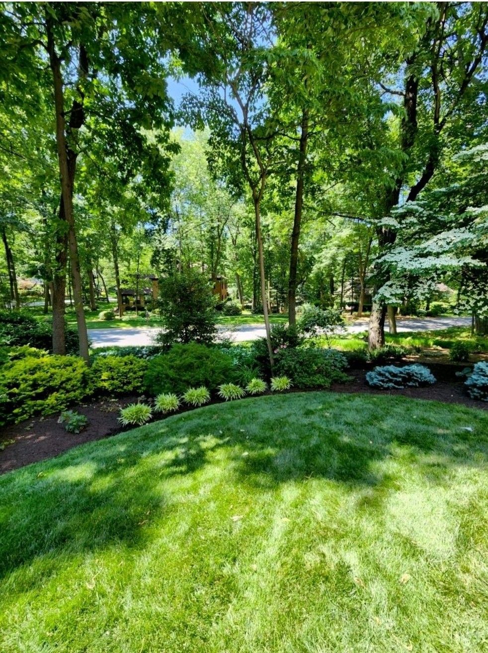 All Photos for Wiley Landscape Design in York, PA