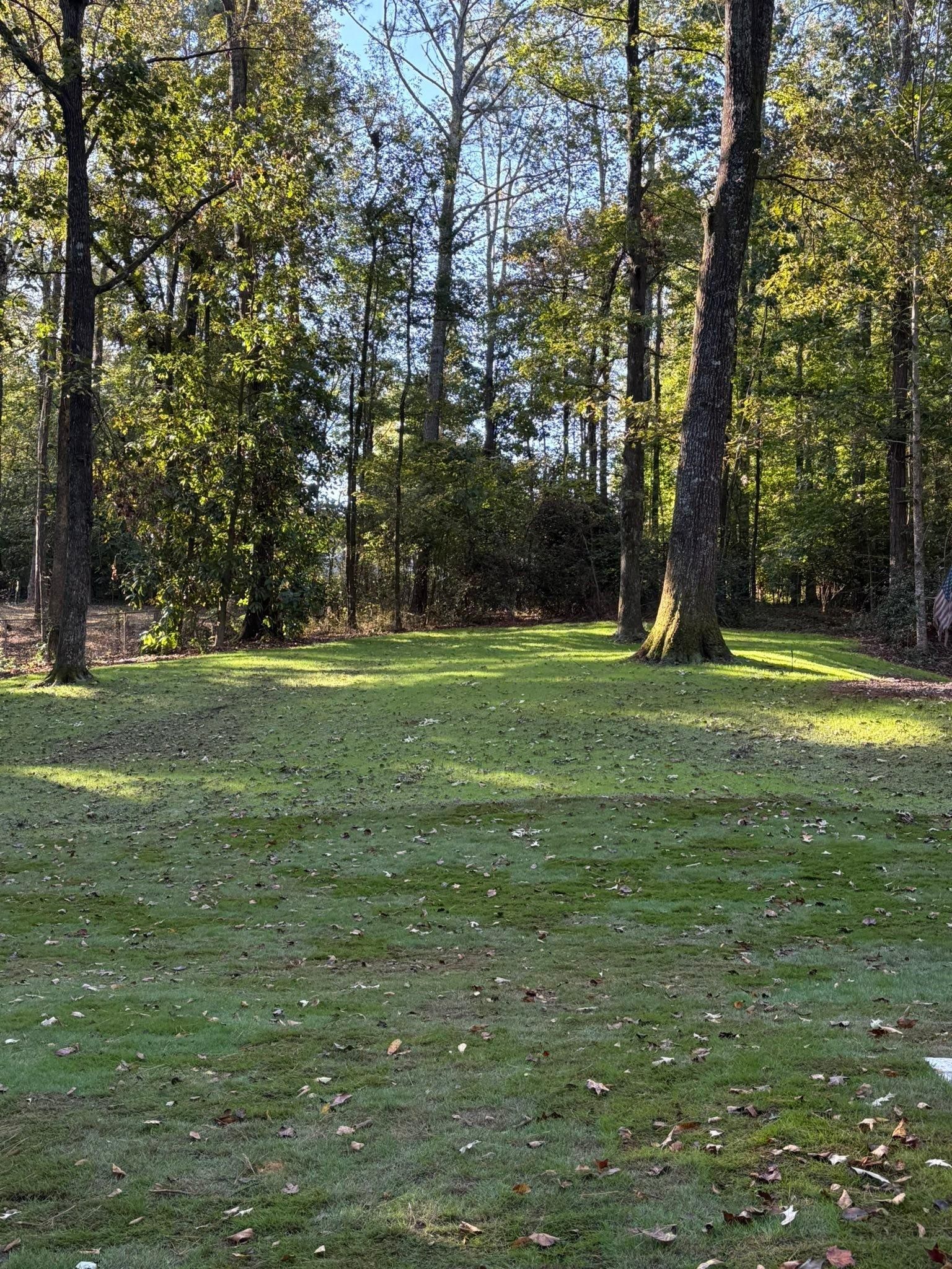  for Deeply Rooted Lawns – Hydroseeding & Sod Installation Services in Winder, GA