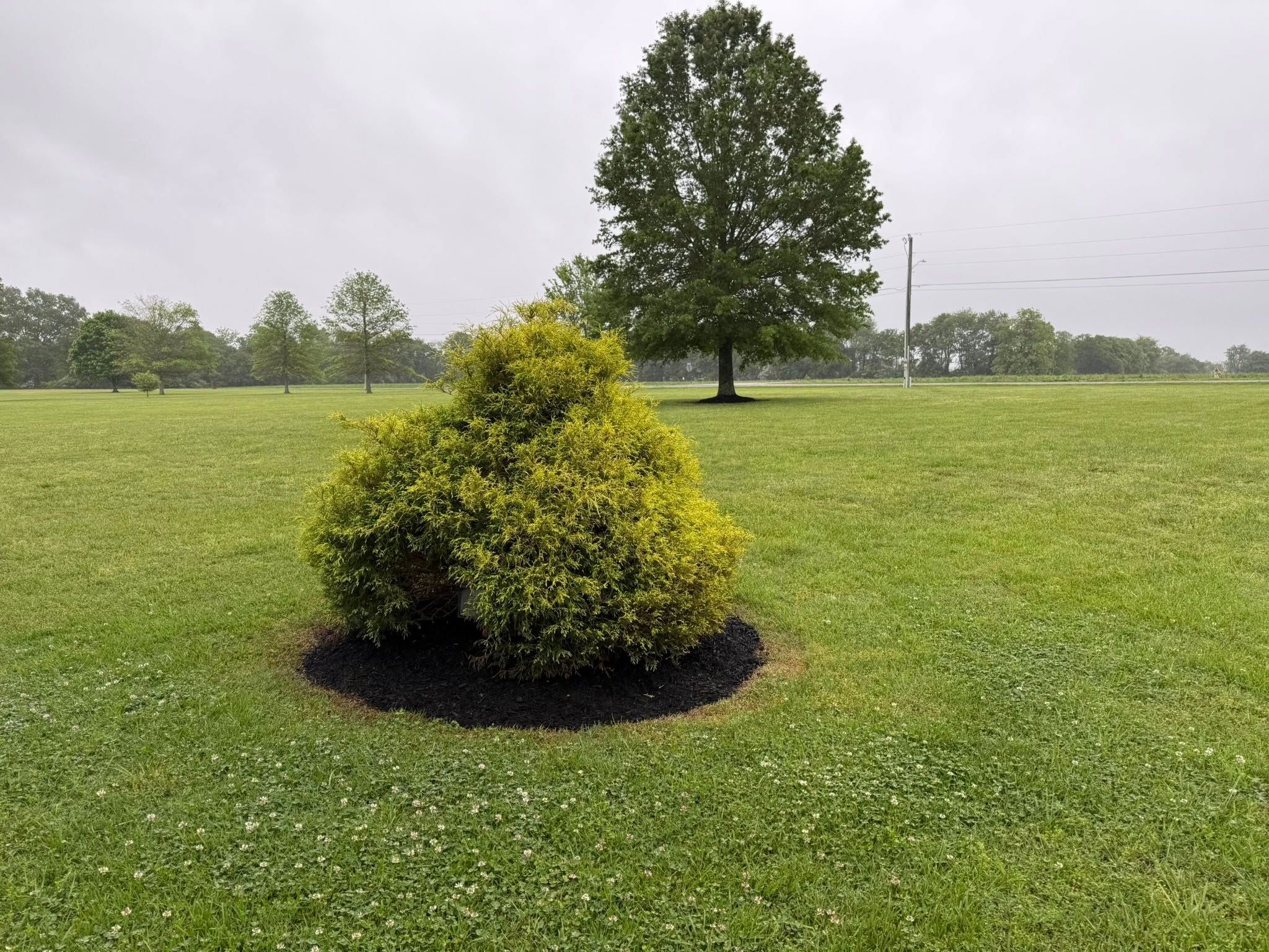  for Gonzales Lawn & Landscapes in Lawrenceburg, TN