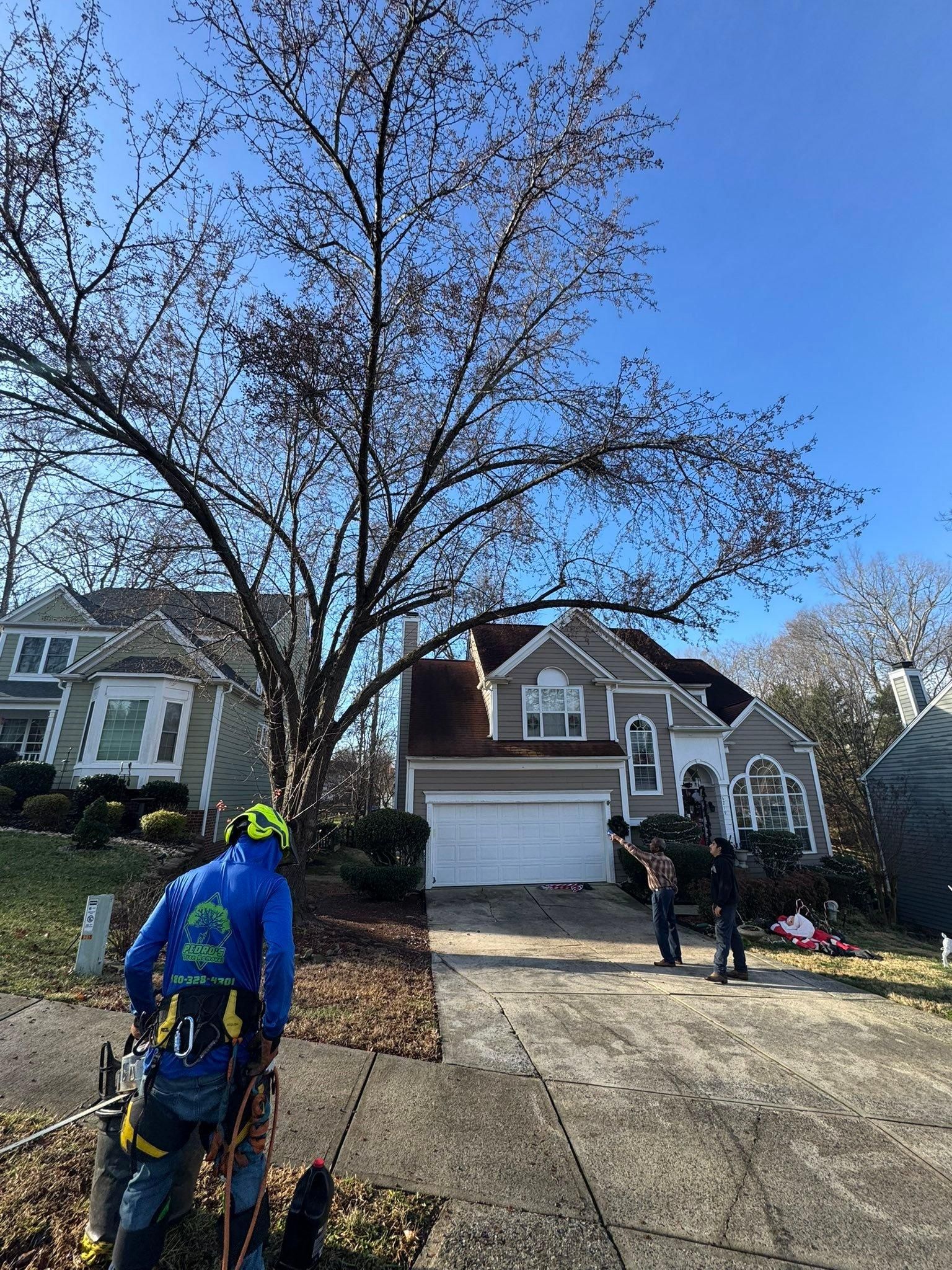  for Pedro's Tree Removal in Charlotte, NC