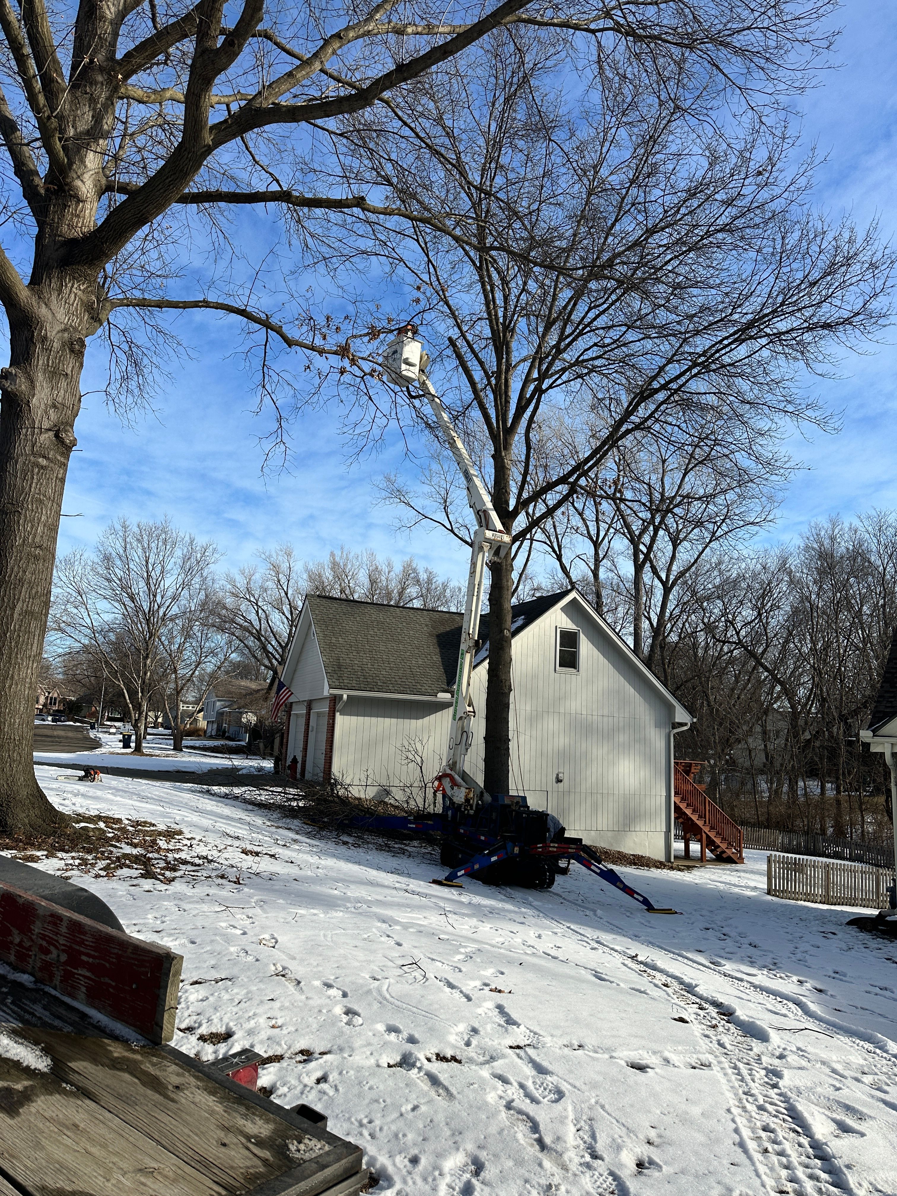 All Photos for Cross Family Tree Service in Kearney, MO